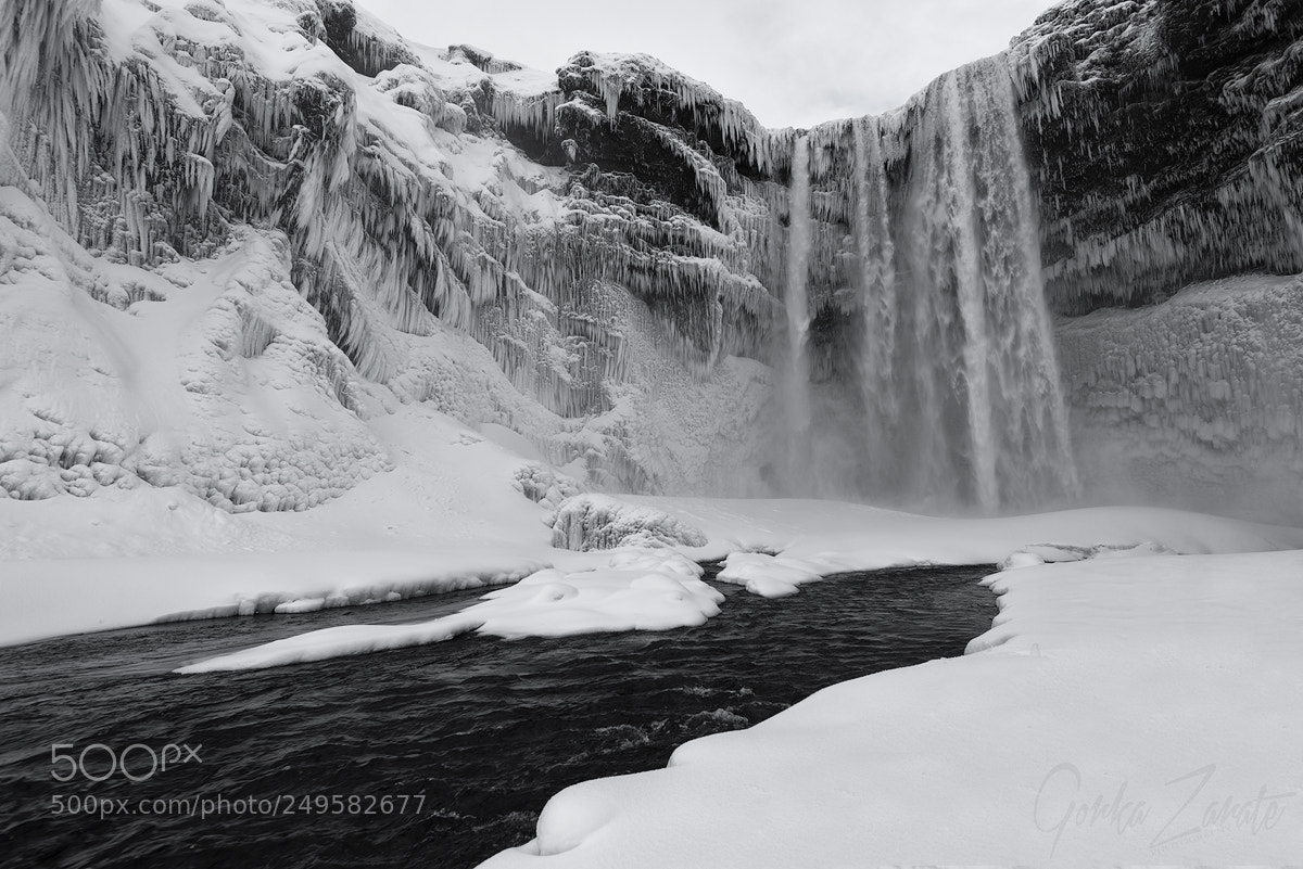 Nikon D810 sample photo. Skogafoss b&w photography