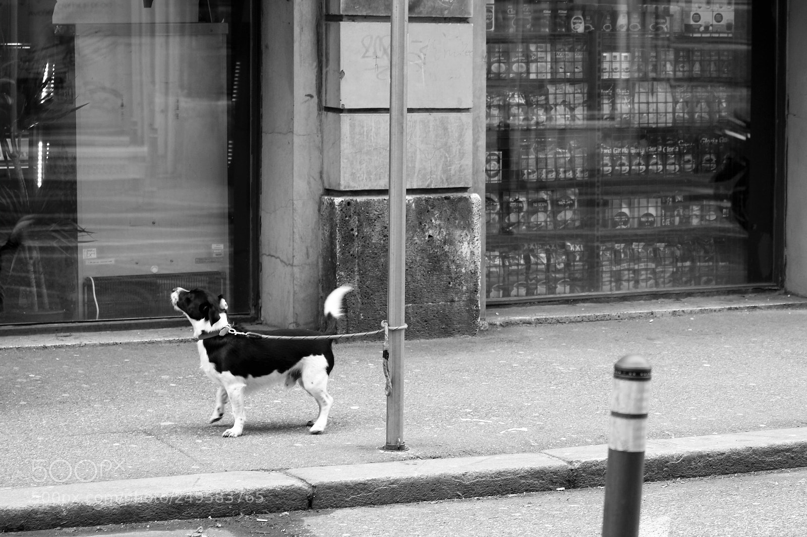 Canon EOS 600D (Rebel EOS T3i / EOS Kiss X5) sample photo. Waiting & complaining photography