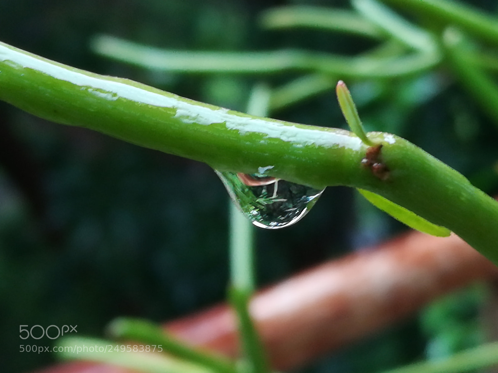 HUAWEI honor 6x sample photo. Dig photography