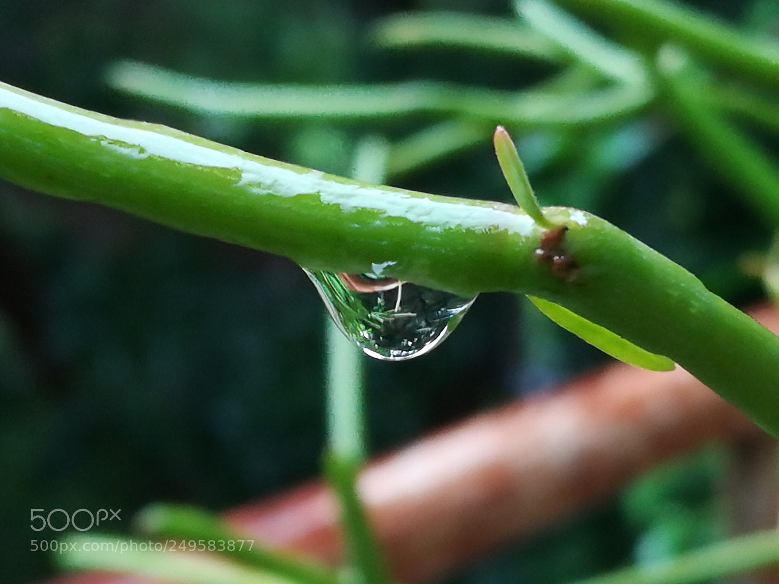 HUAWEI honor 6x sample photo. Dig photography