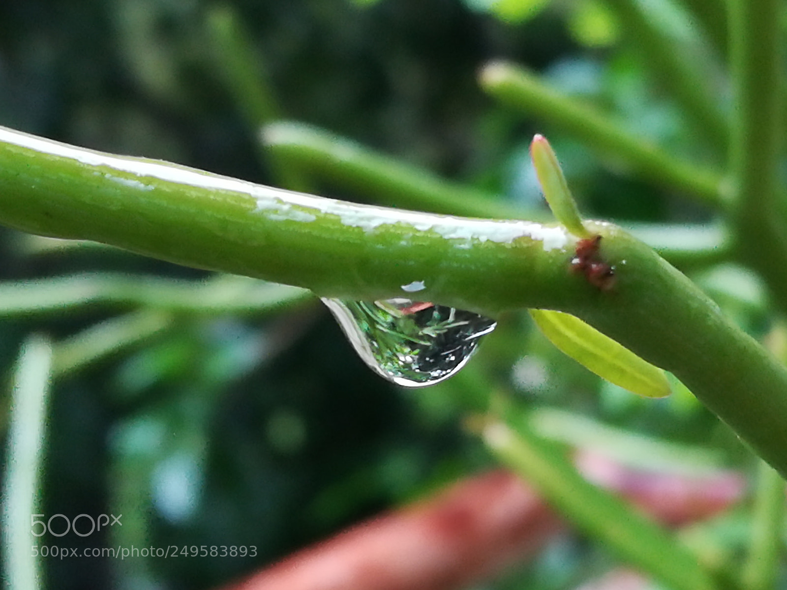 HUAWEI honor 6x sample photo. Dig photography