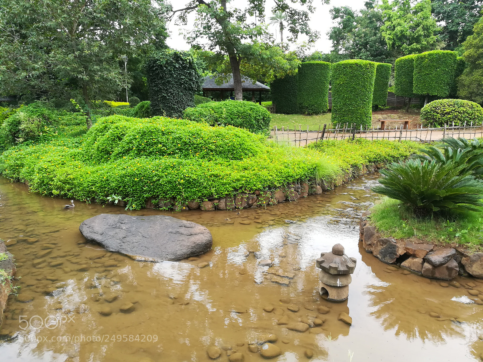 HUAWEI honor 6x sample photo. Japanese garden pune photography