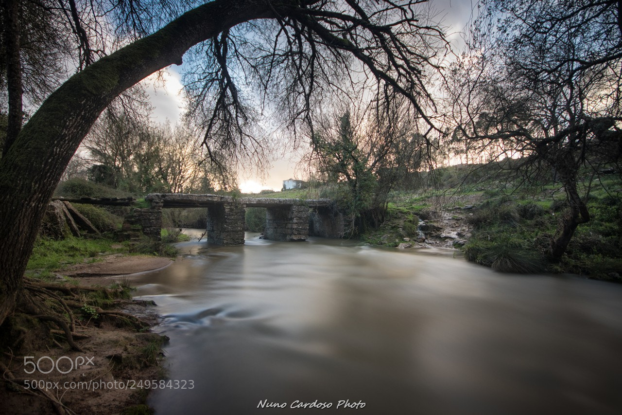 Canon EOS 80D sample photo. Ponte romana photography