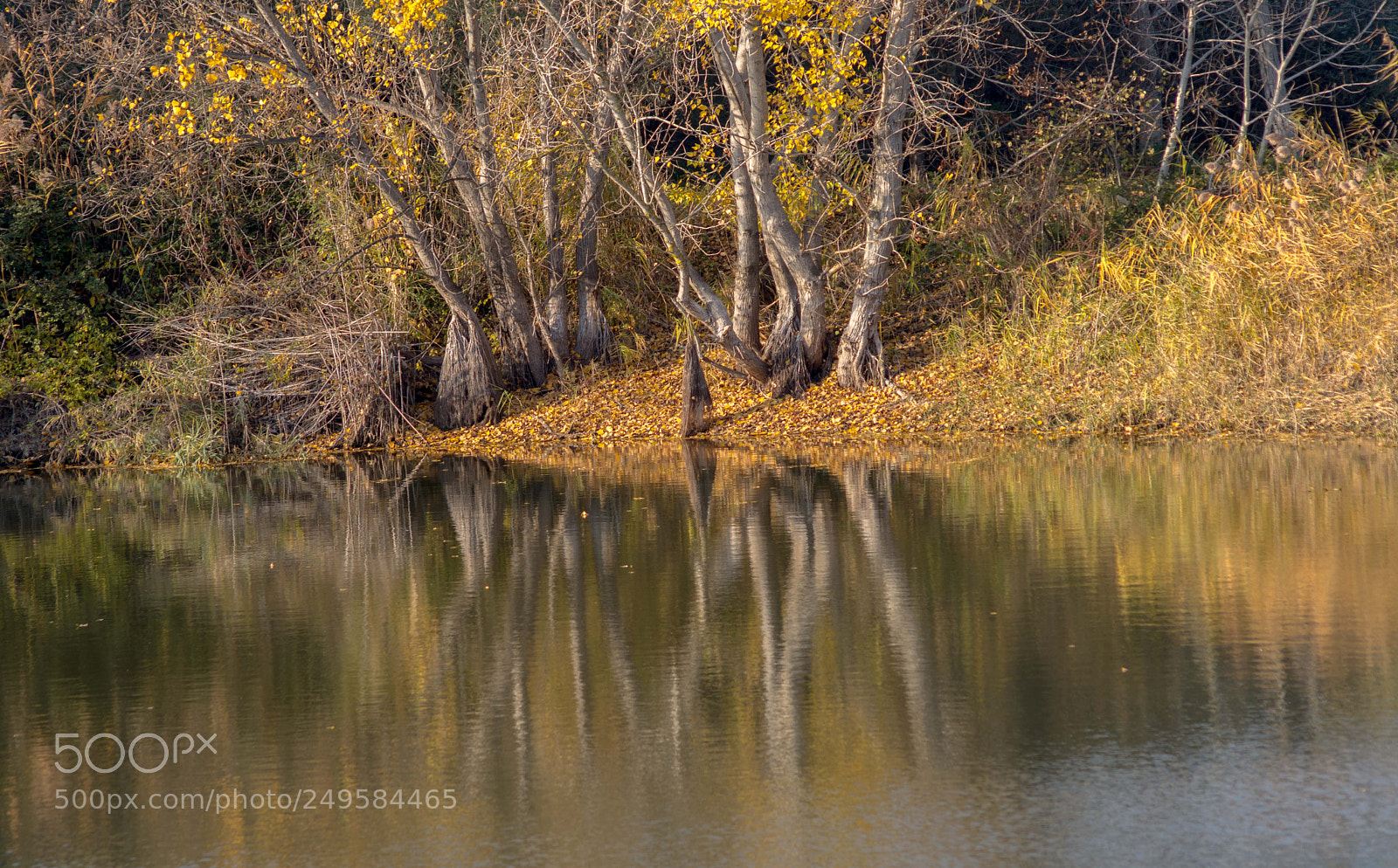 Nikon D7200 sample photo. Close to home photography
