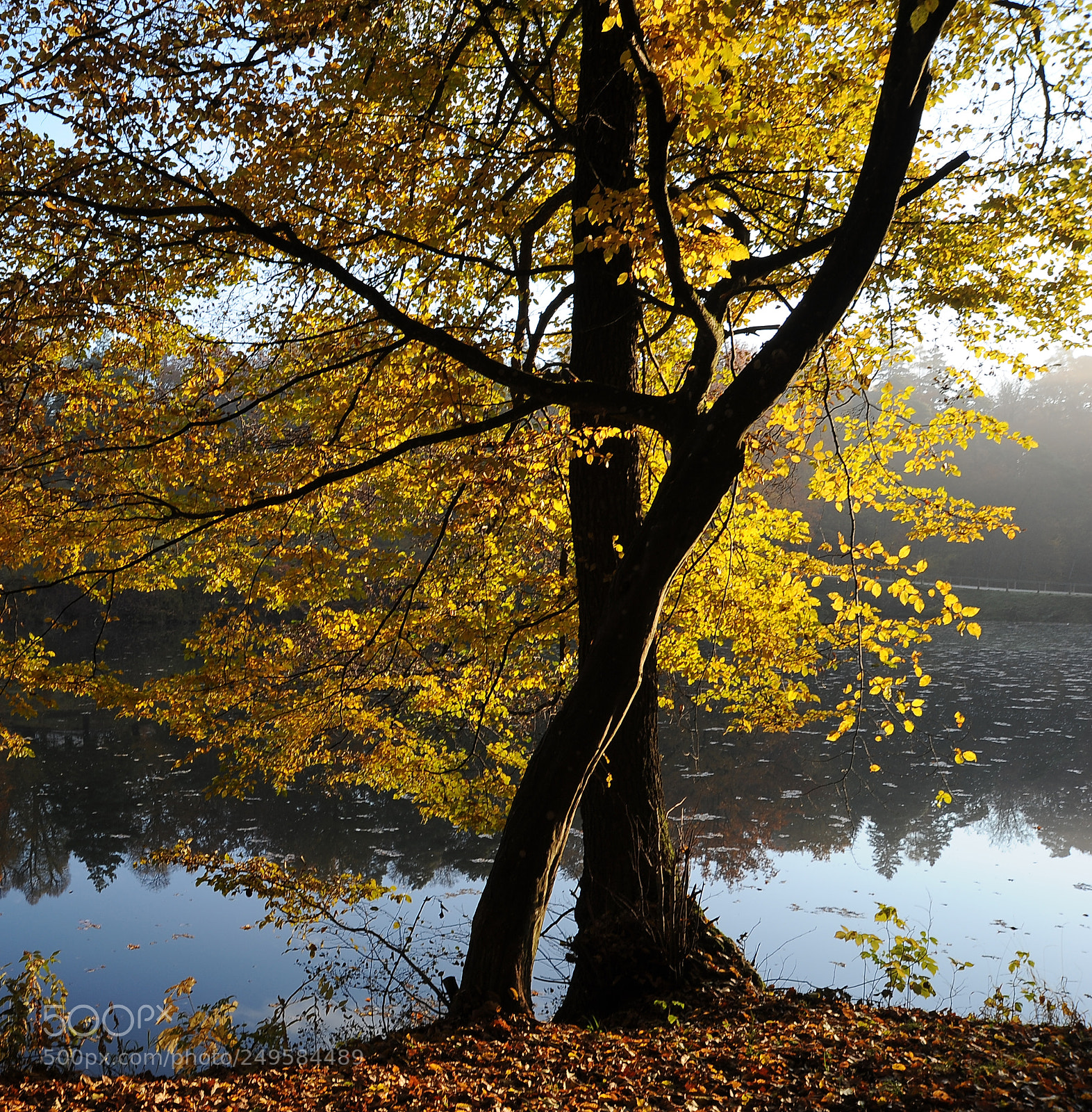 Nikon D700 sample photo. "lakeside tango" photography