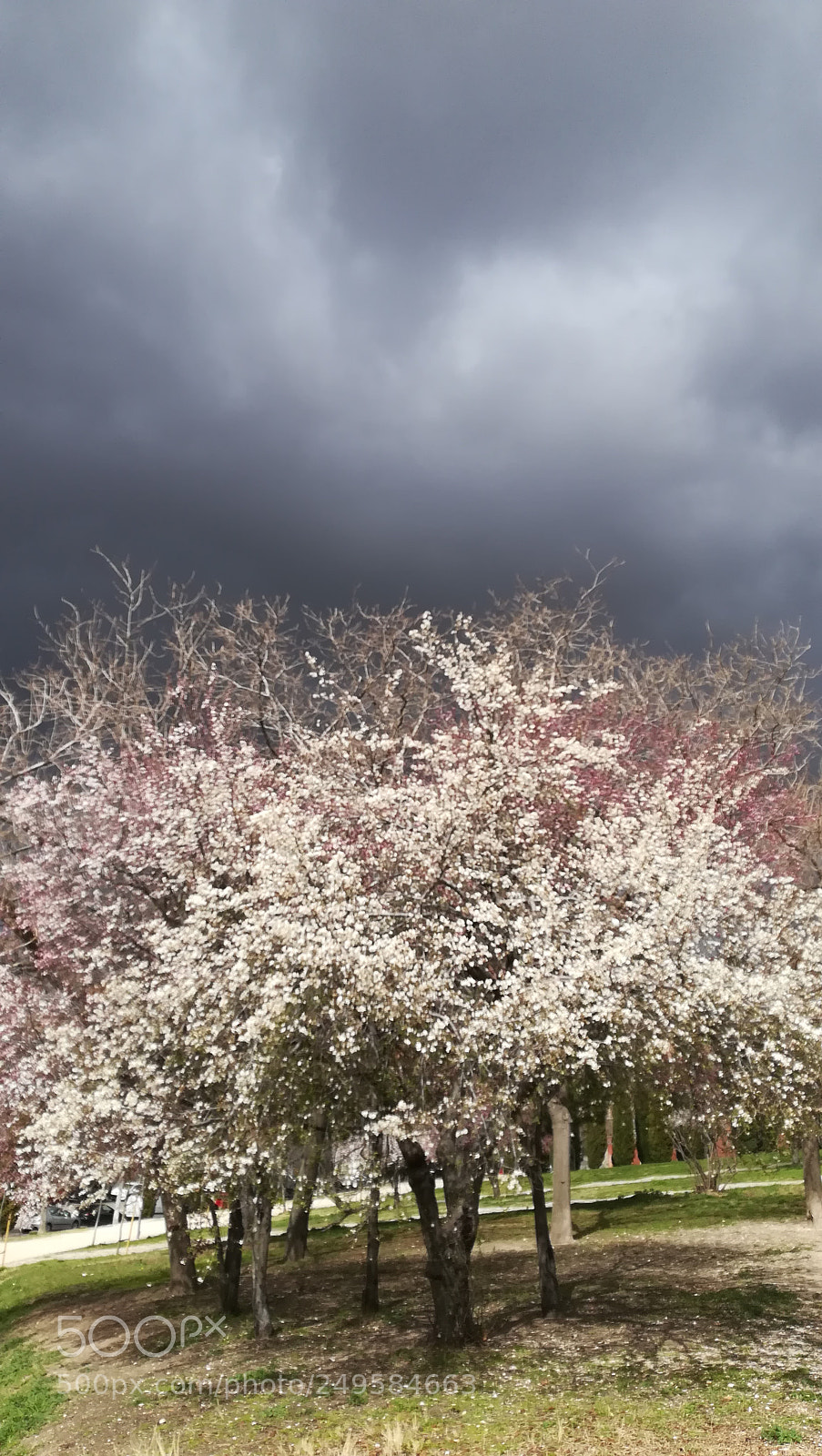 HUAWEI PRA-LX1 sample photo. The perfect storm photography