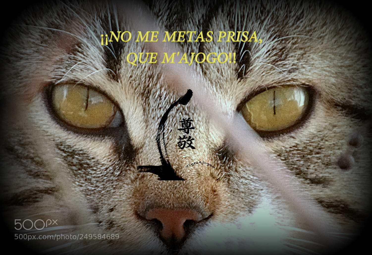 Nikon D7100 sample photo. Copia photography