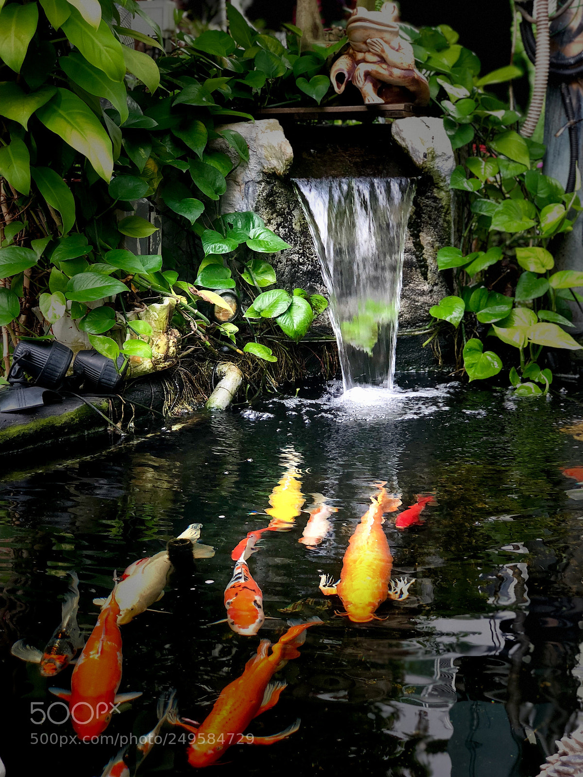 Apple iPhone 8 Plus sample photo. Japanese garden pond photography