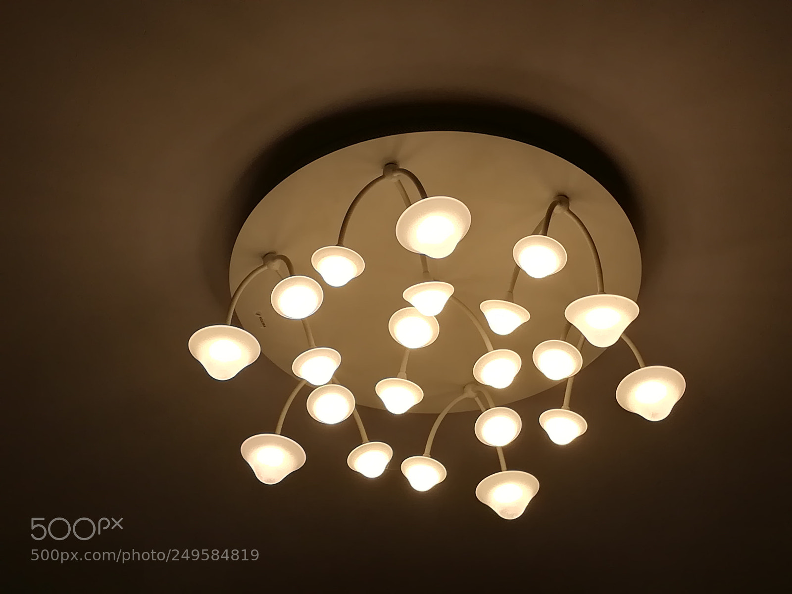 HUAWEI honor 6x sample photo. Mushroom lights photography