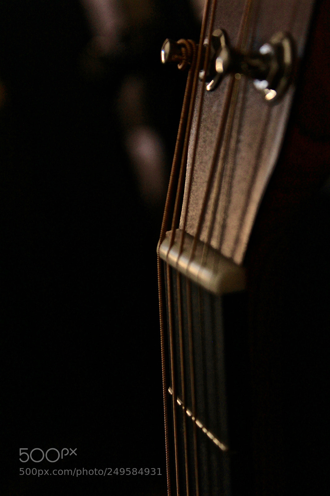 Canon EOS 1200D (EOS Rebel T5 / EOS Kiss X70 / EOS Hi) sample photo. Strings. photography