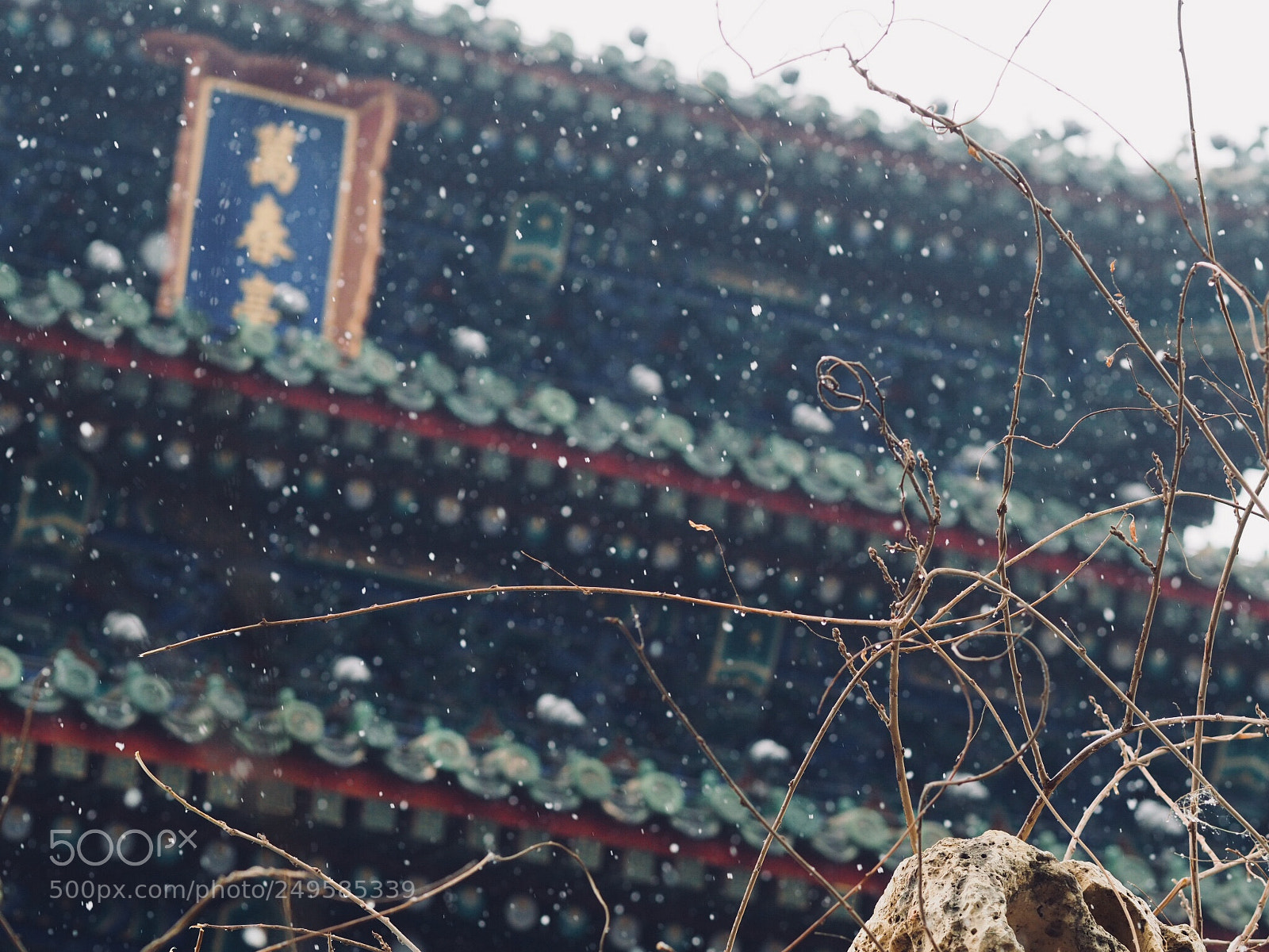 Olympus OM-D E-M10 II sample photo. 春雪 photography