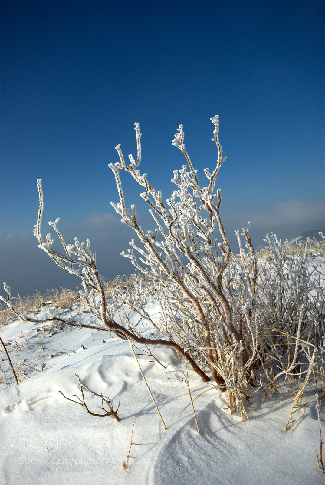 Pentax K200D sample photo. Decoration photography