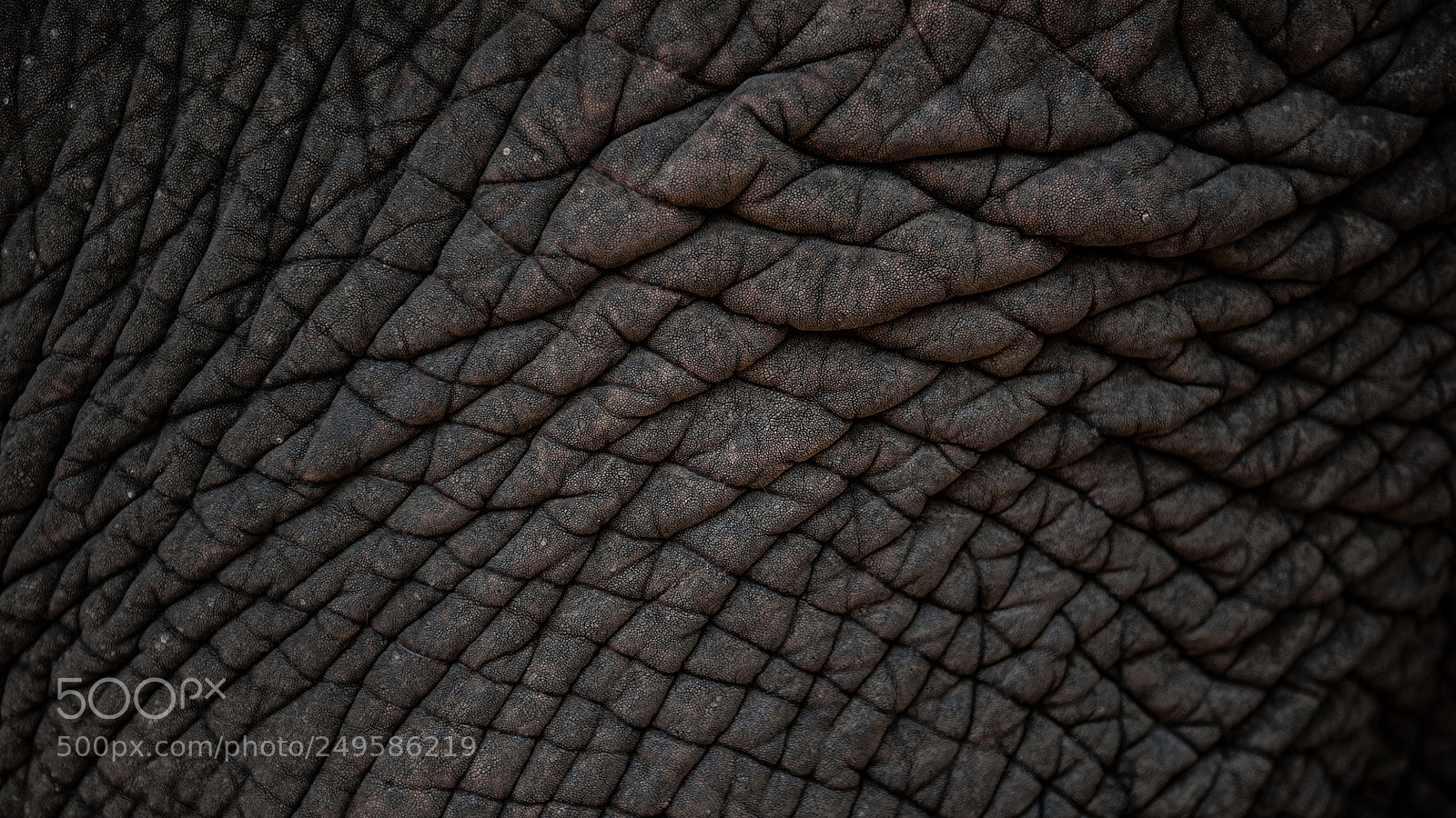 Nikon D700 sample photo. 40yo skin photography