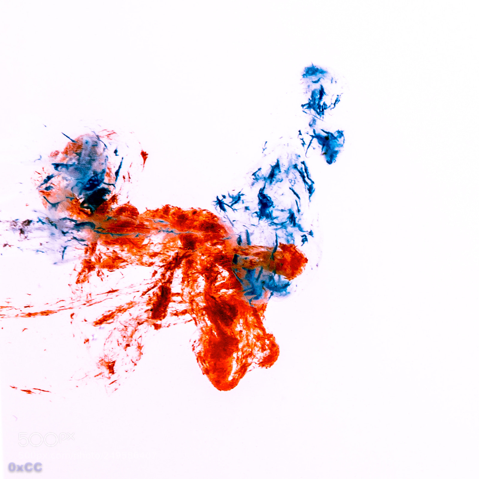 Canon EOS 7D Mark II sample photo. Abstract photography