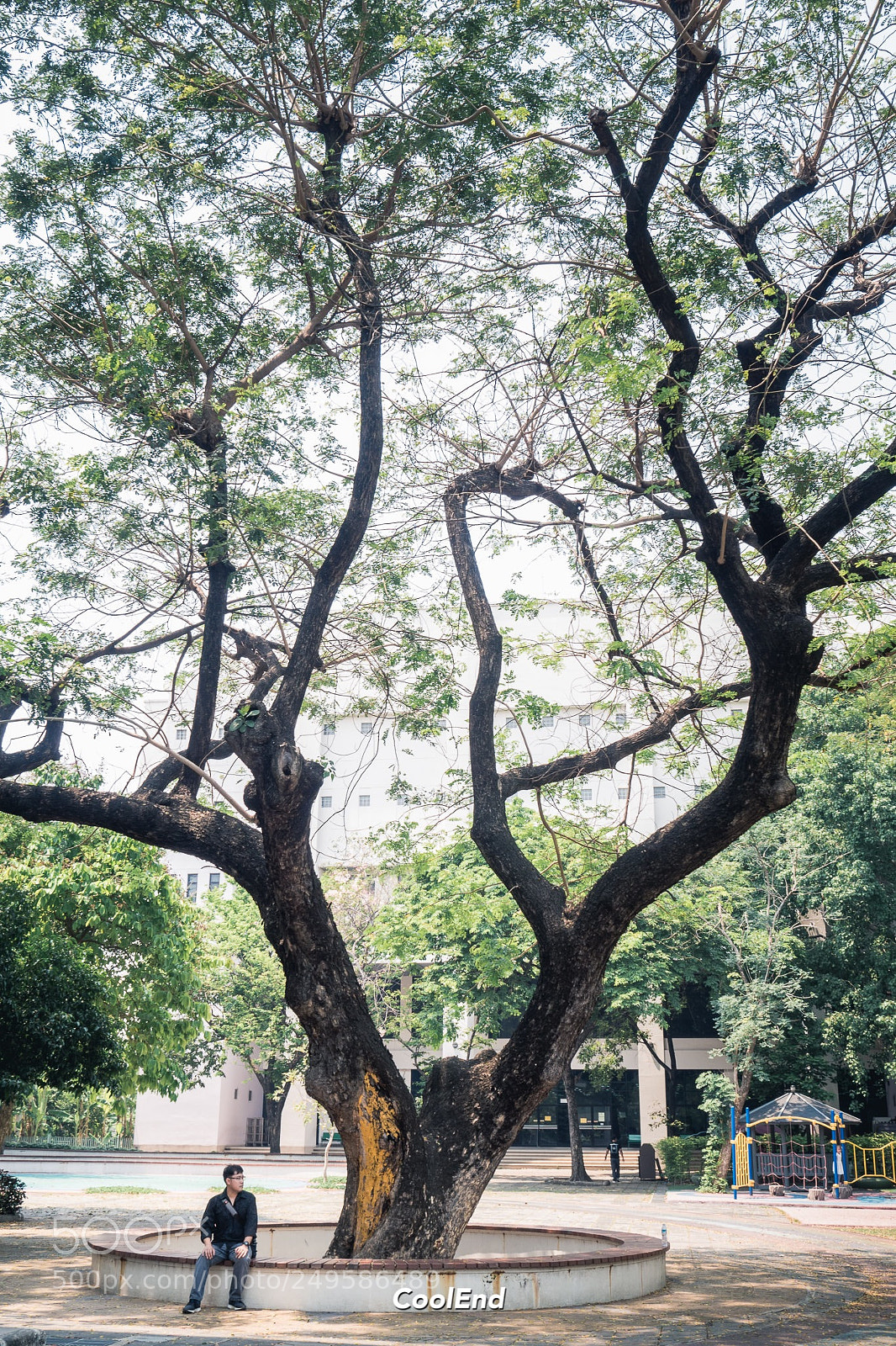 Olympus PEN-F sample photo. Mini photography