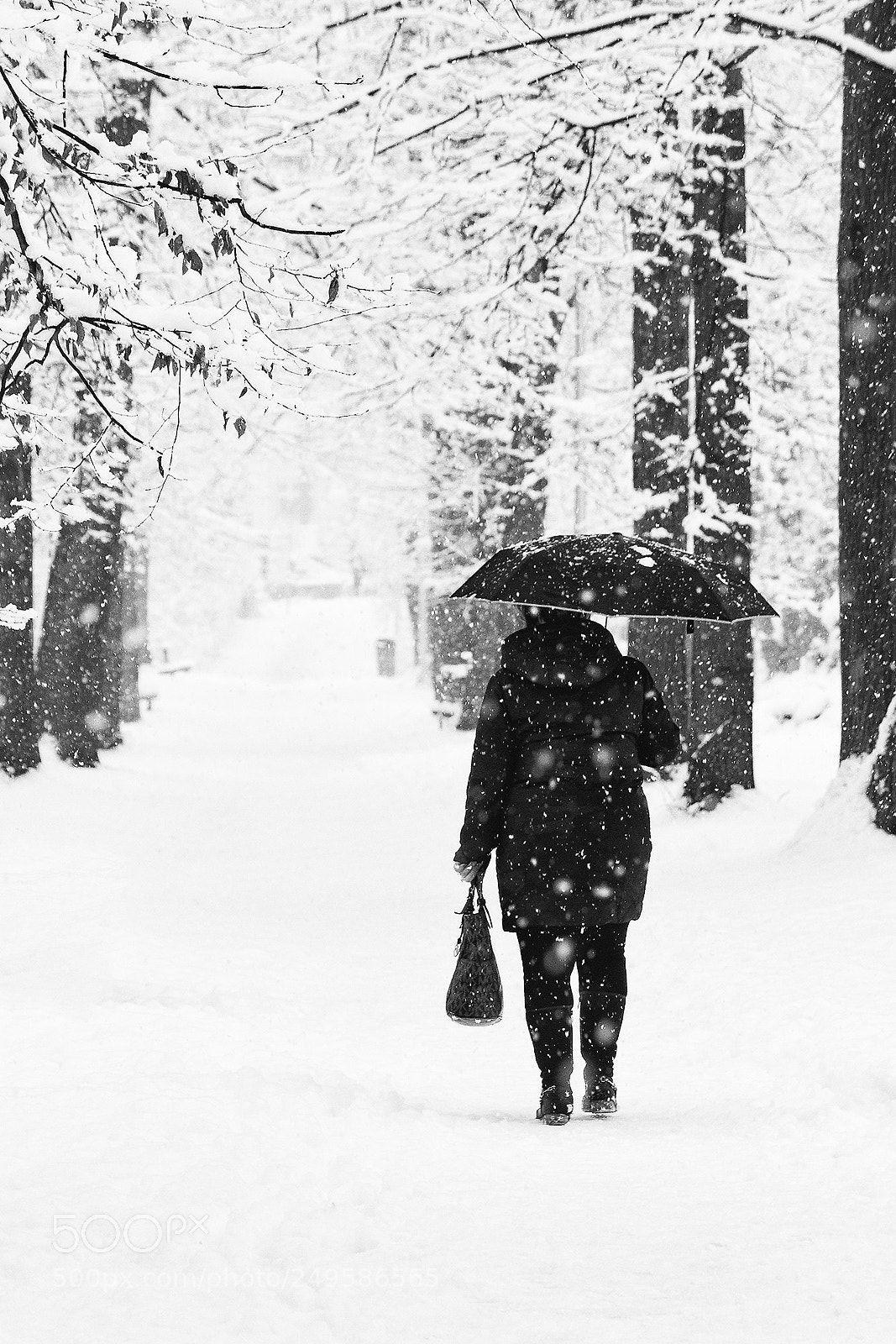 Canon EOS 80D sample photo. Winter day photography