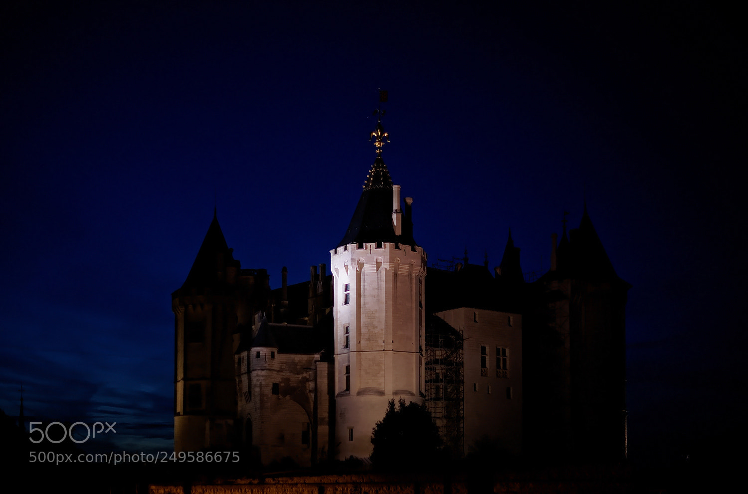 Sony Alpha DSLR-A900 sample photo. Untitled photography