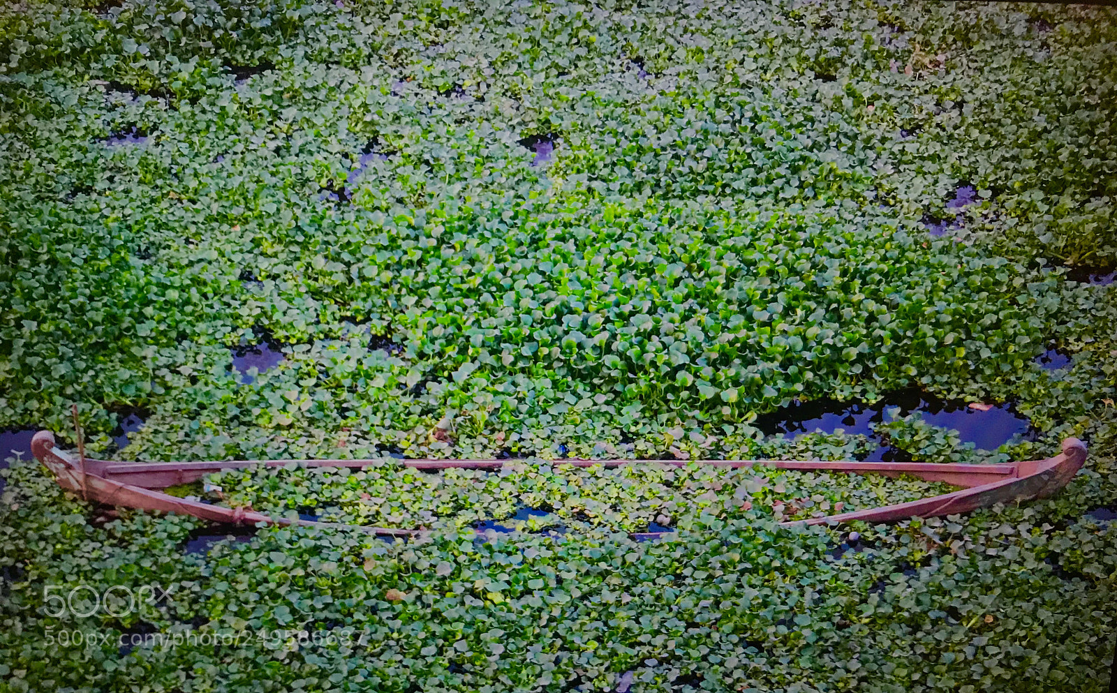 Apple iPhone 7 sample photo. Green boat photography