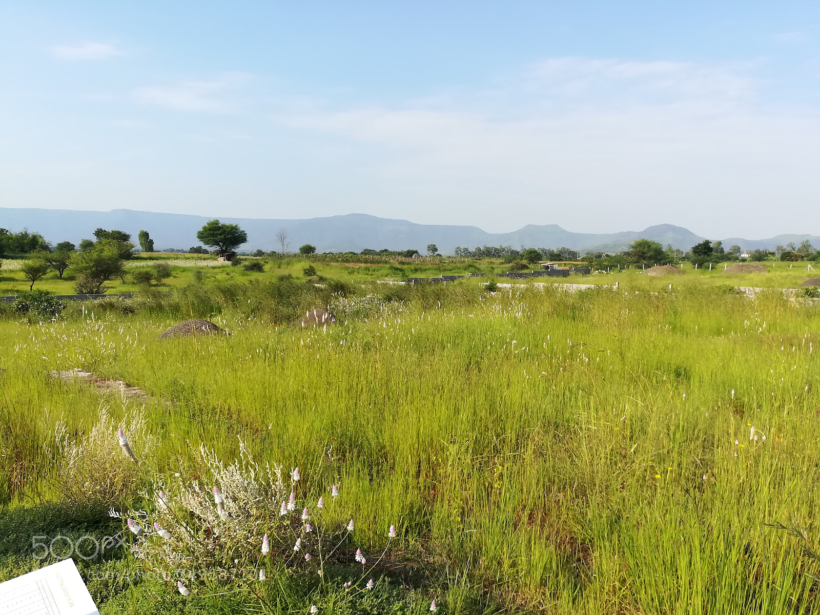 HUAWEI honor 6x sample photo. Grassland photography