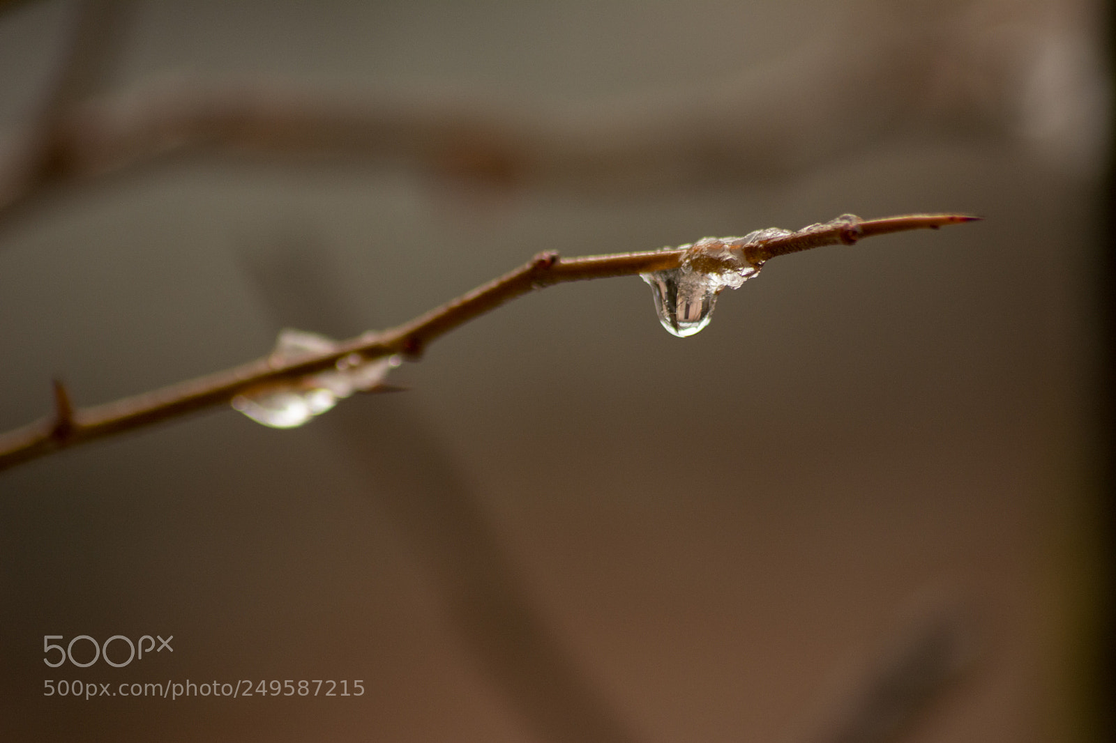 Nikon D5200 sample photo. Drop of water photography