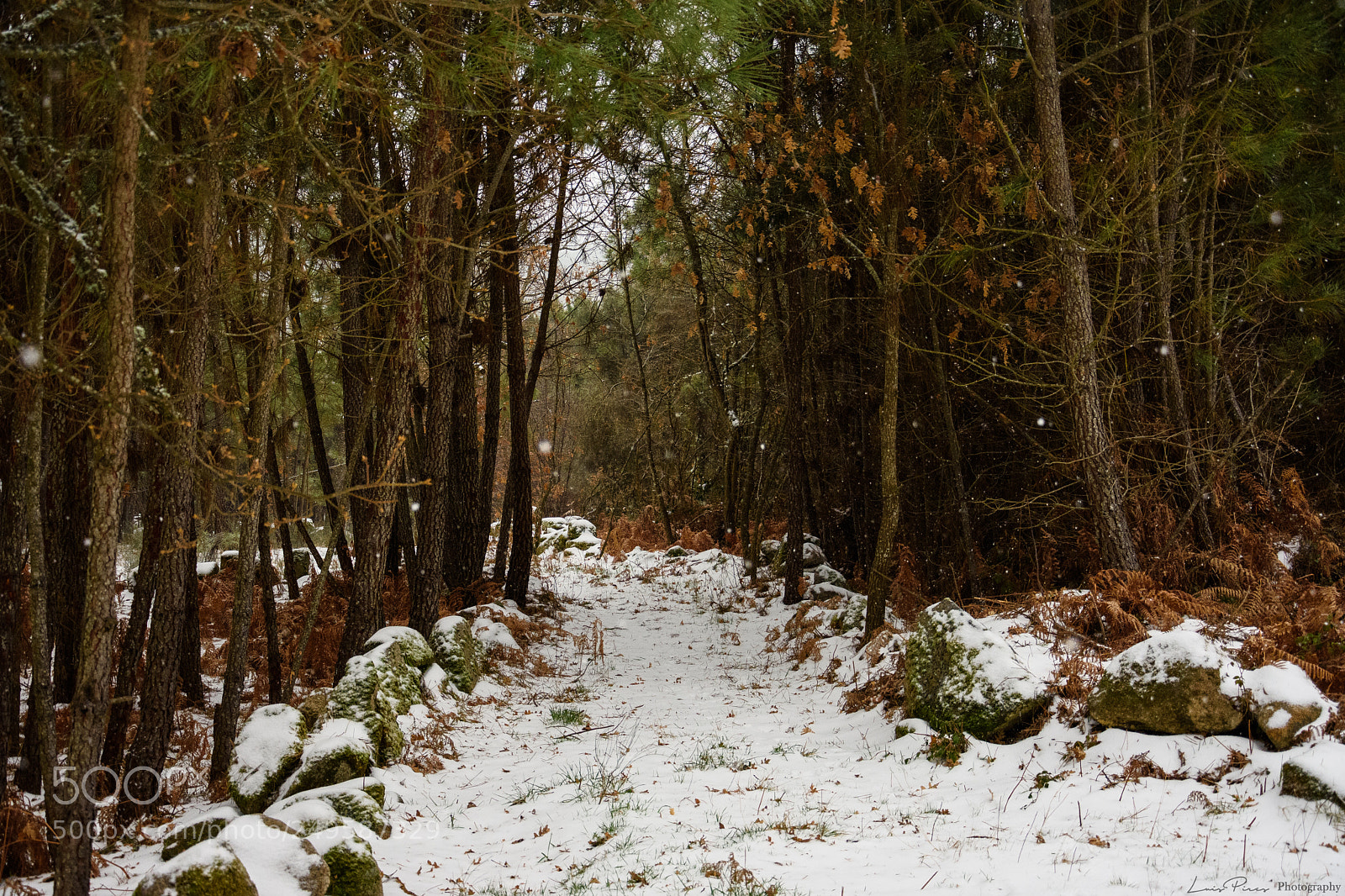 Nikon D7200 sample photo. Path in mountain. photography