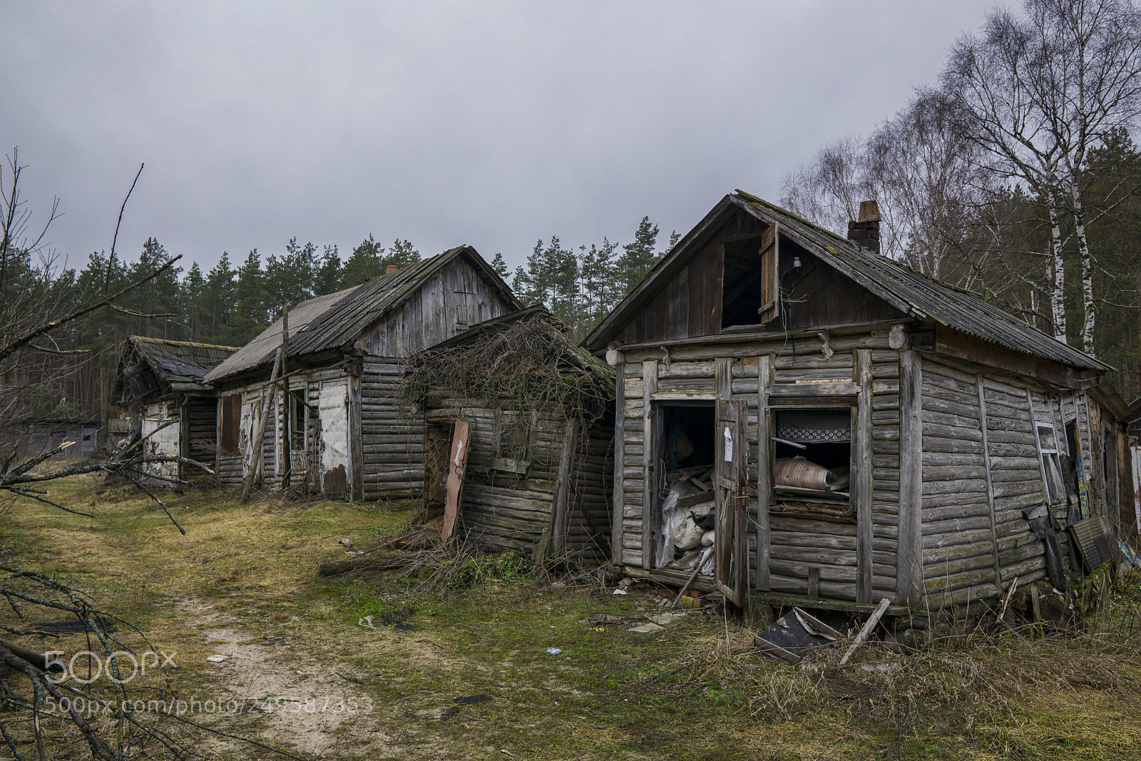 Sony a6000 sample photo. Abandoned forestry photography