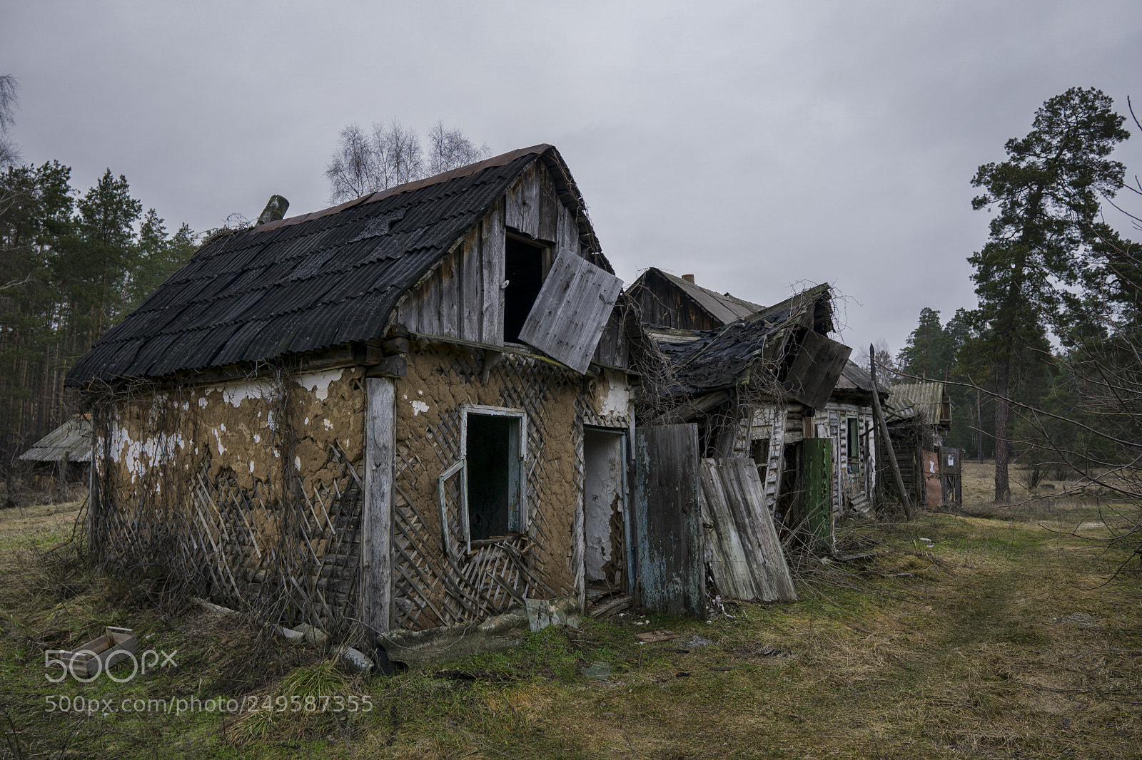 Sony a6000 sample photo. Abandoned forestry photography