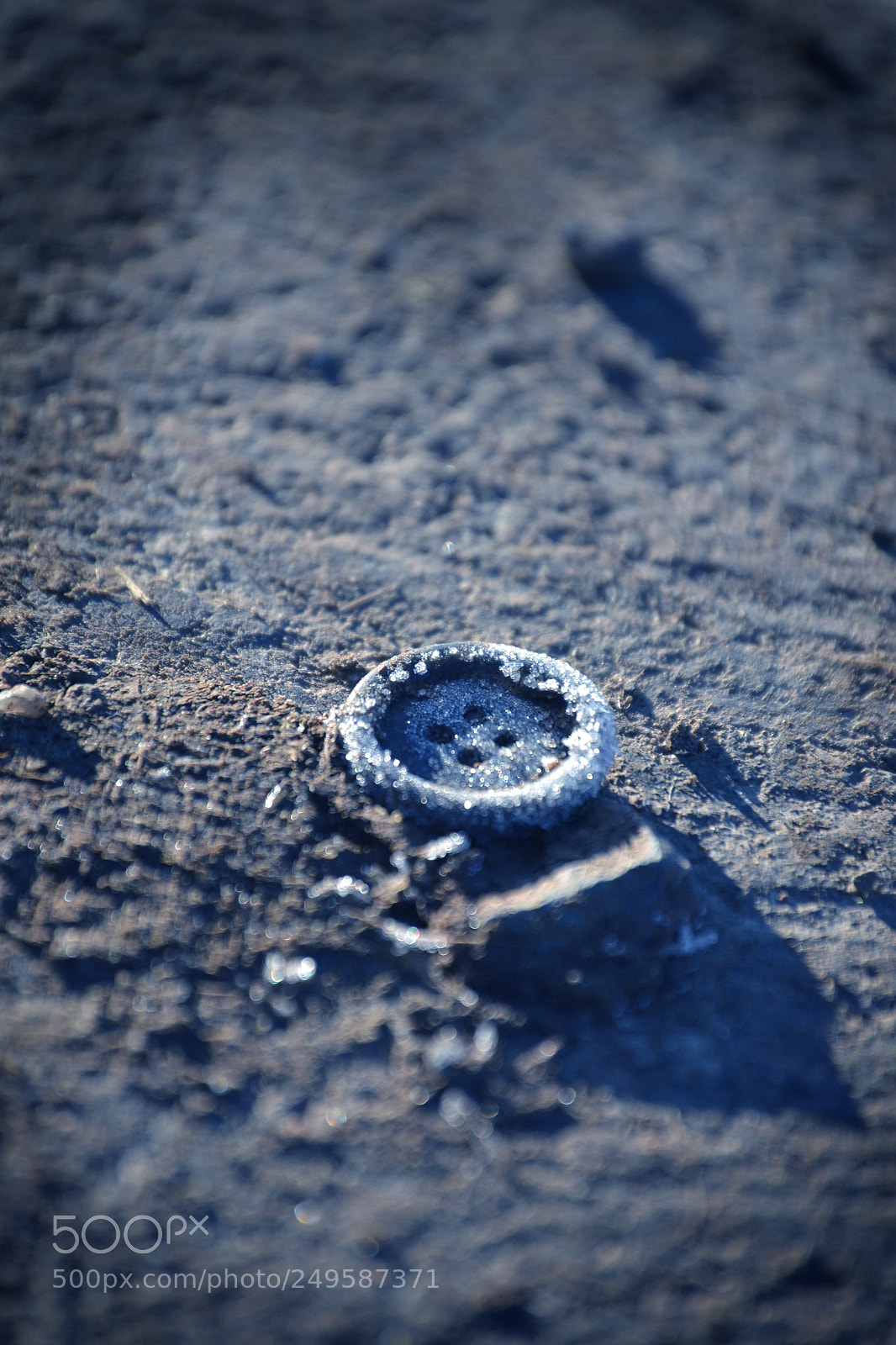 Nikon D3100 sample photo. Lost button photography