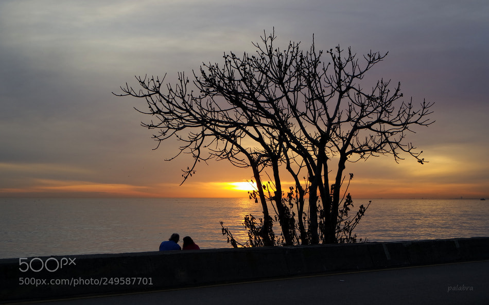 Samsung NX3000 sample photo. ... photography