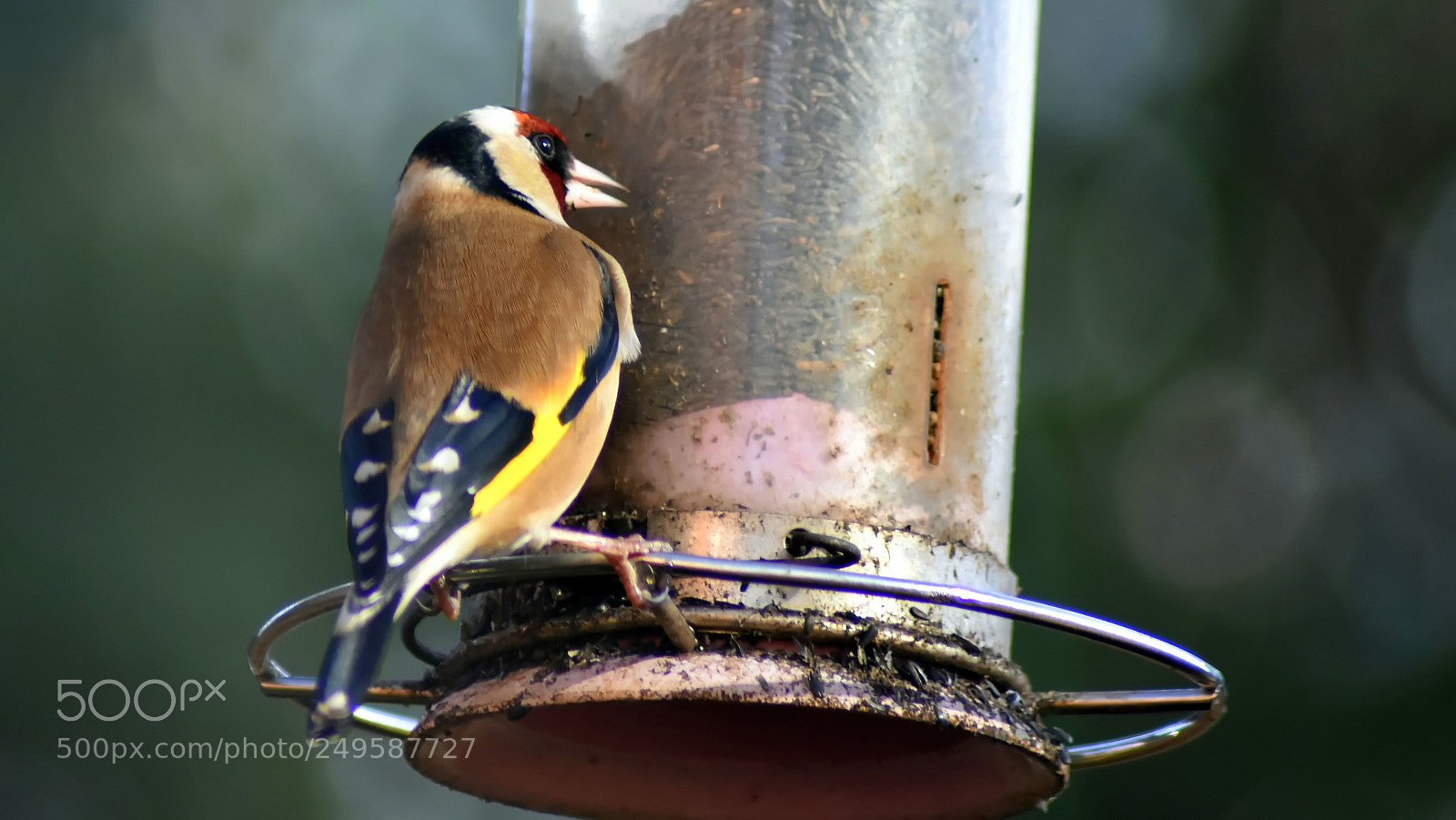 Nikon D3400 sample photo. Every little helps... photography
