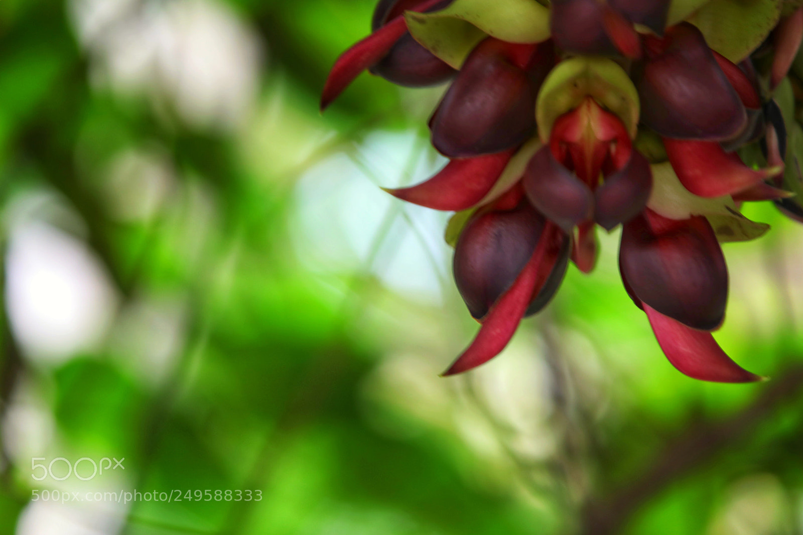 Canon EOS 5D Mark IV sample photo. Untitled photography