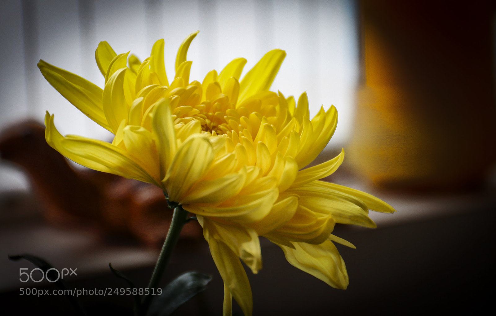 Canon EOS M5 sample photo. Untitled photography