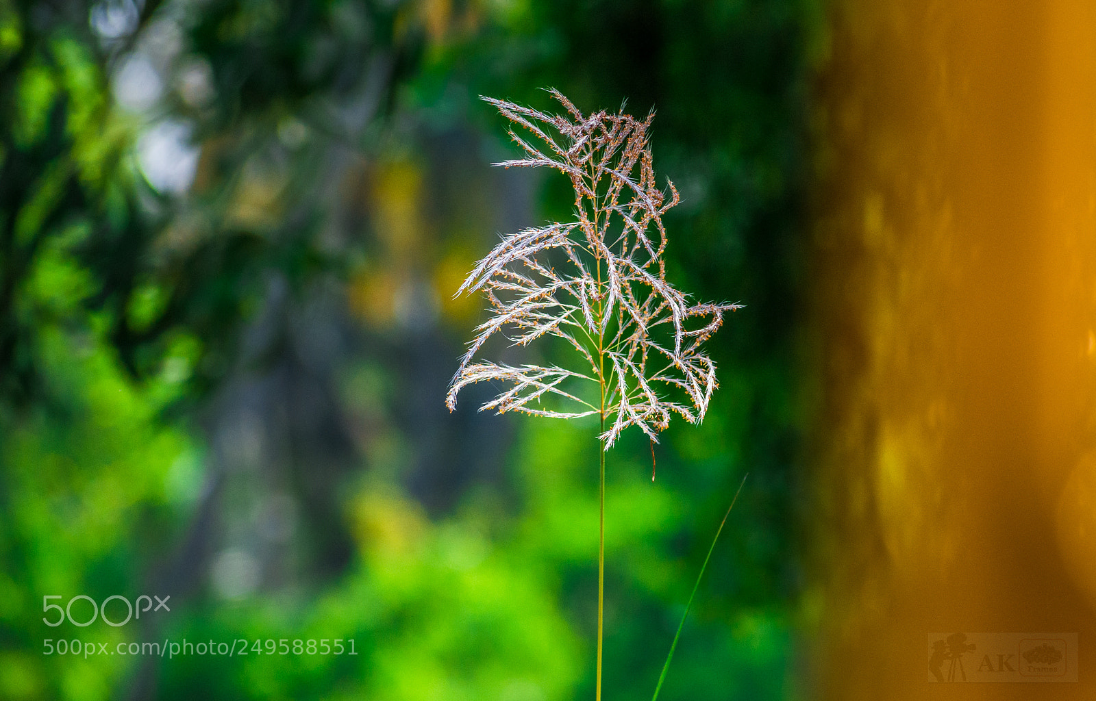 Nikon D7200 sample photo. The abstract .......... photography