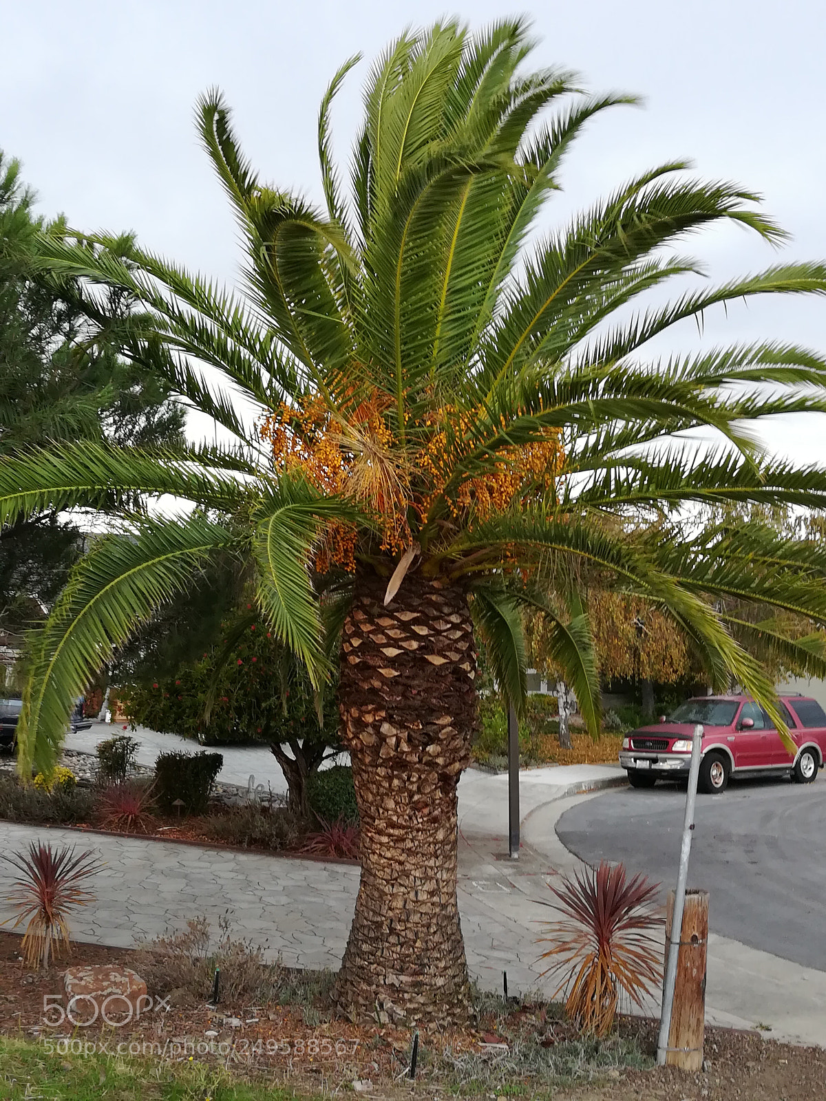 HUAWEI honor 6x sample photo. Track near the lake photography