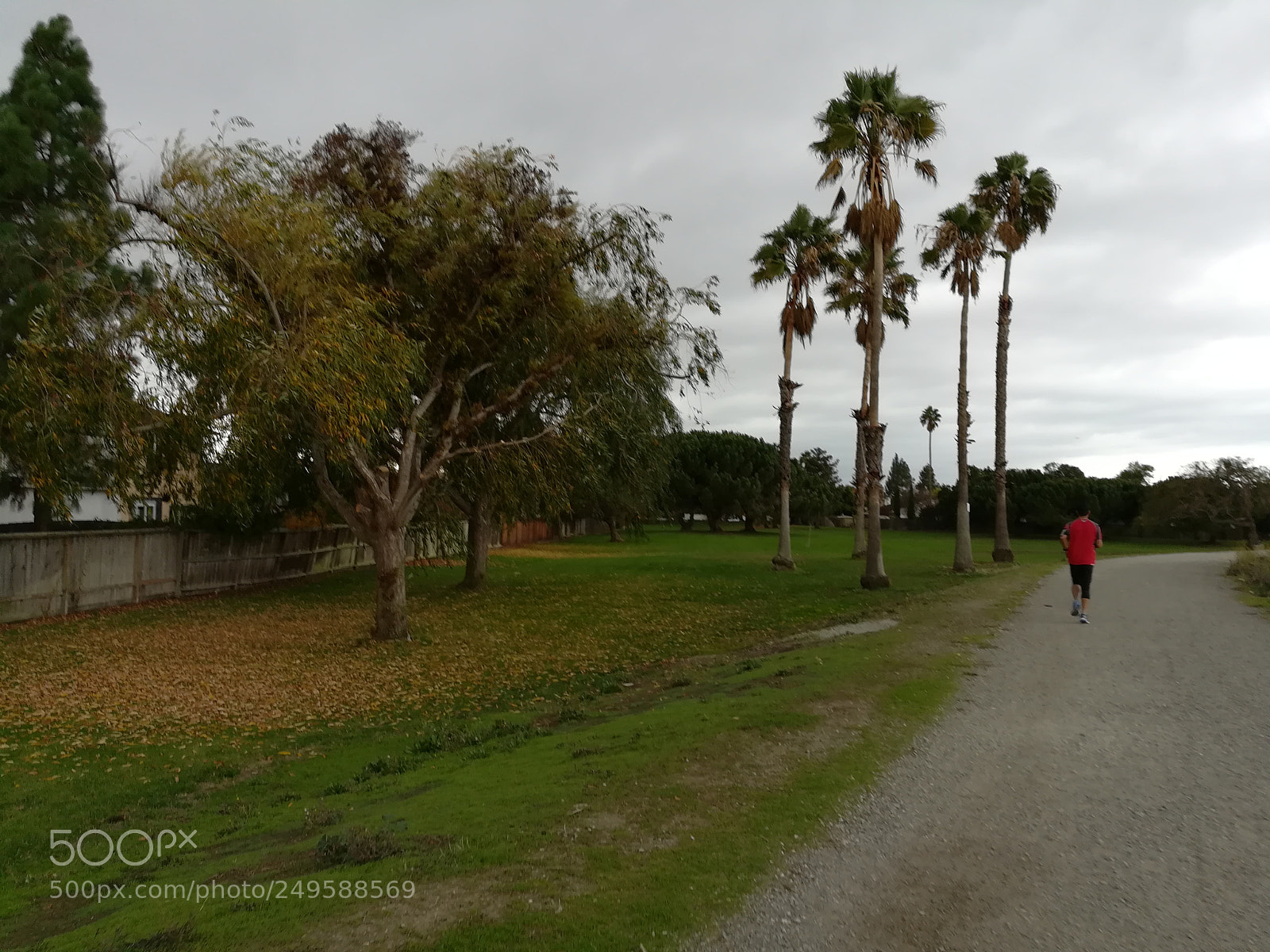 HUAWEI honor 6x sample photo. Track near the lake photography