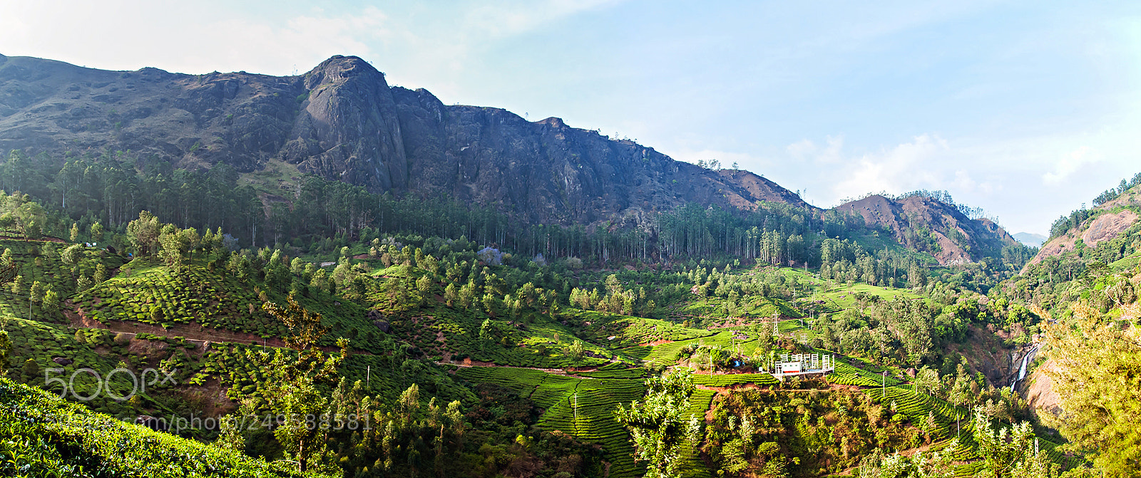 Nikon D300 sample photo. Munnar tea plantation photography