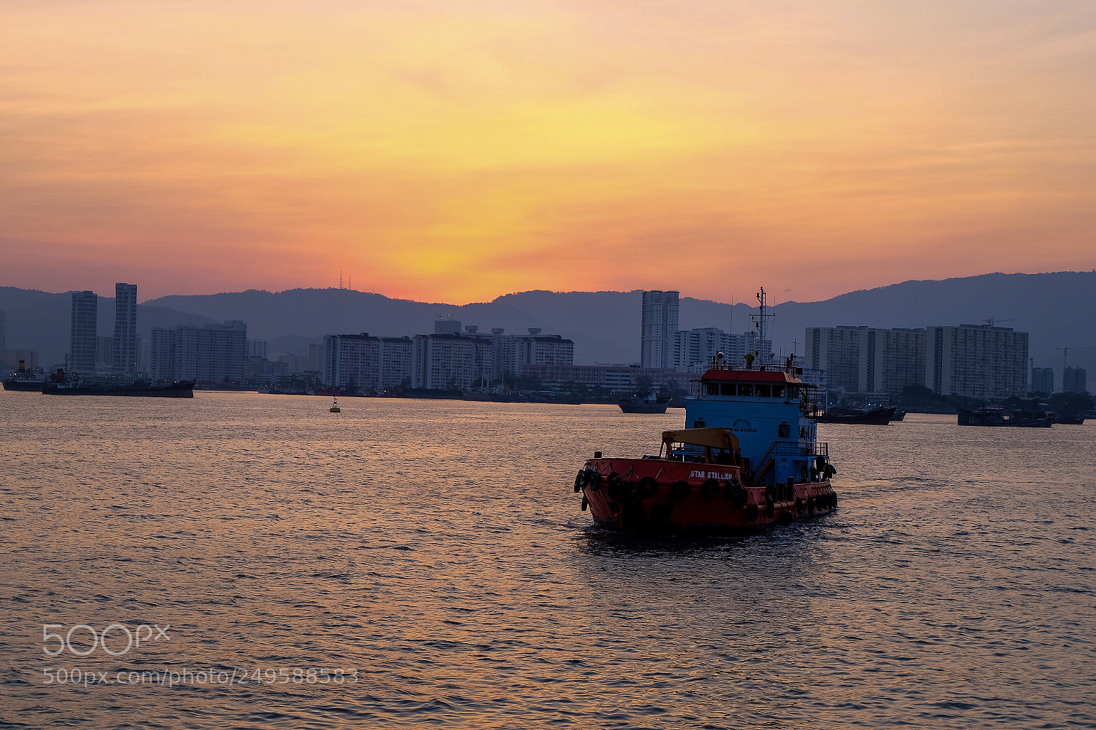 Fujifilm X-T10 sample photo. Untitled photography