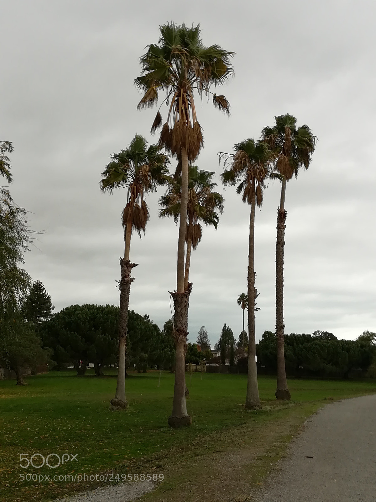 HUAWEI honor 6x sample photo. Track near the lake photography