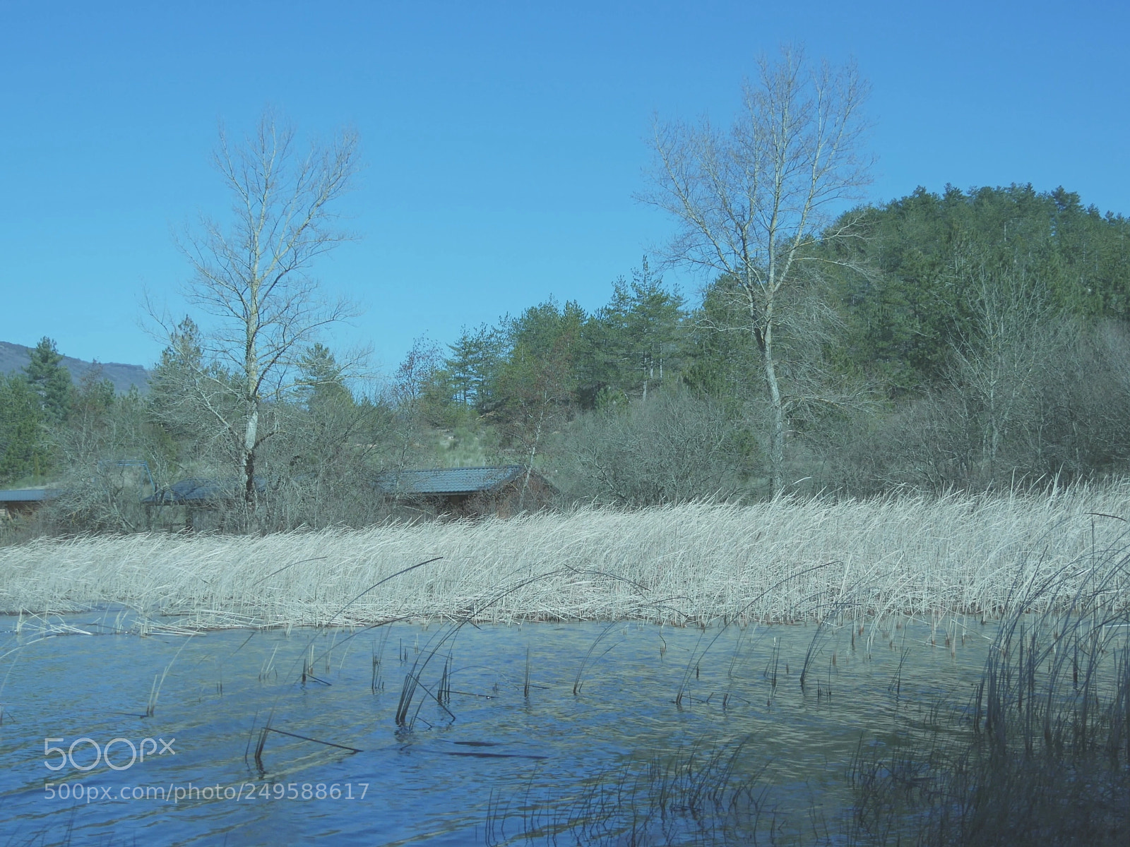Panasonic Lumix DMC-GX85 (Lumix DMC-GX80 / Lumix DMC-GX7 Mark II) sample photo. Blue afternoon photography