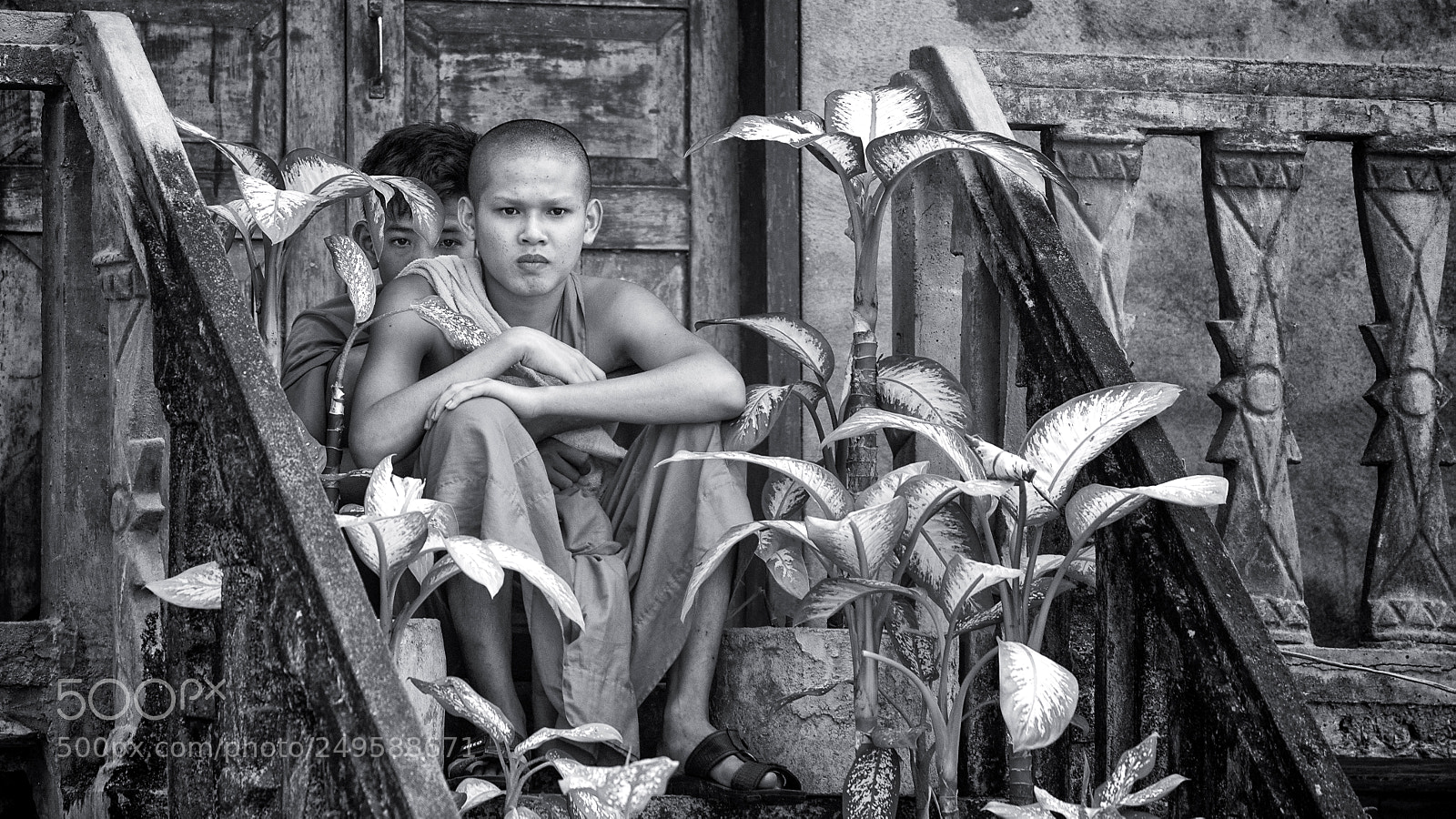 Nikon D600 sample photo. The watchers photography