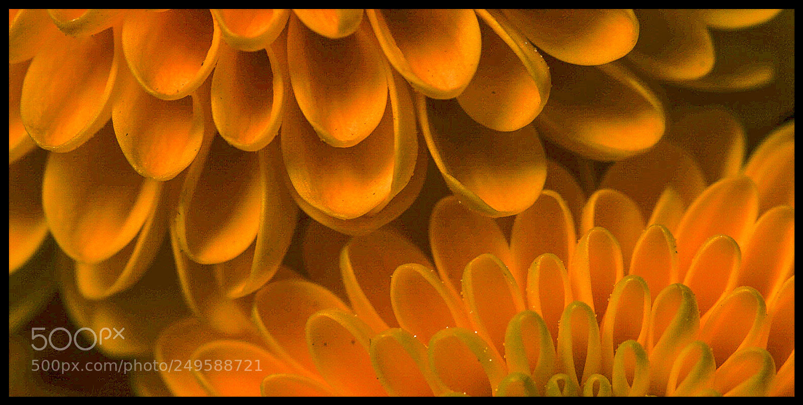 Sony ILCA-77M2 sample photo. Untitled photography