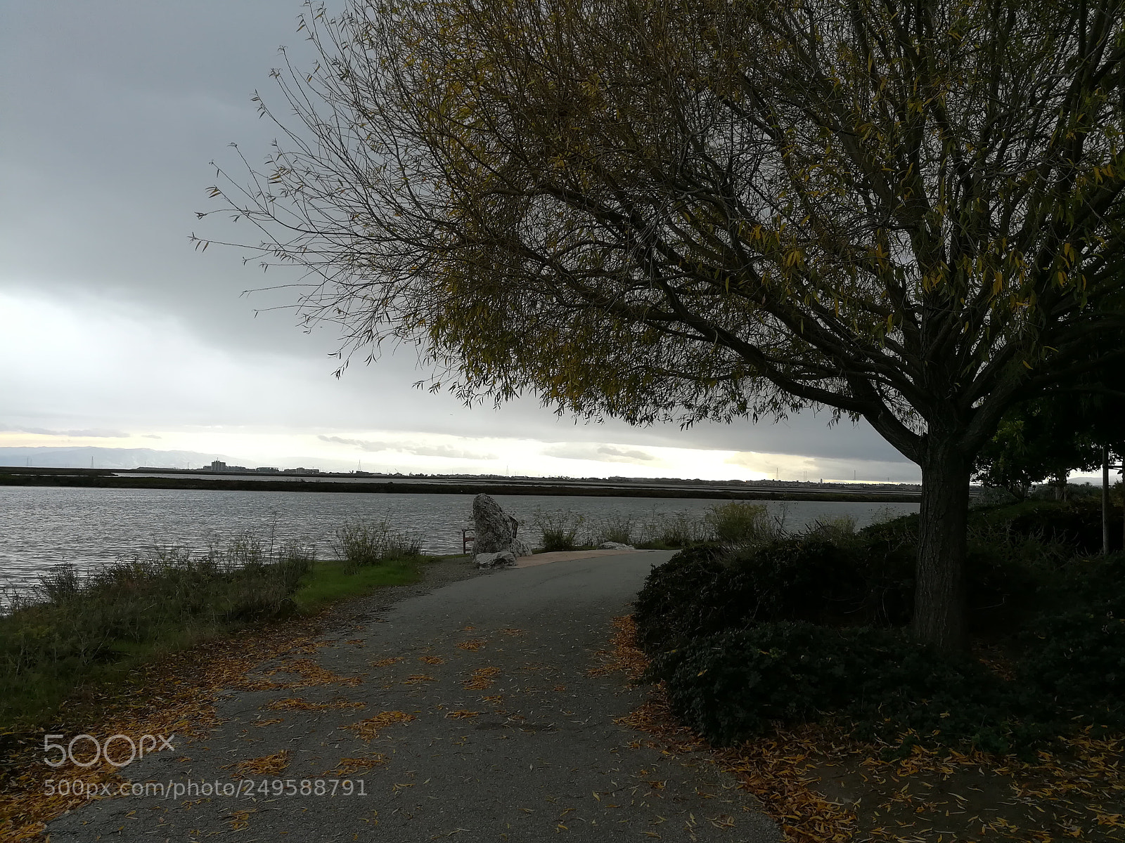 HUAWEI honor 6x sample photo. Walkway photography