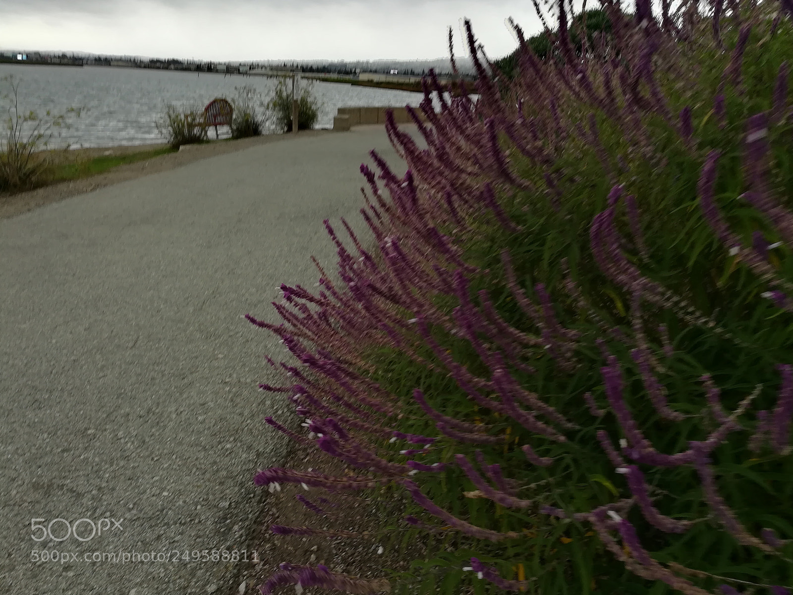 HUAWEI honor 6x sample photo. Walkway photography