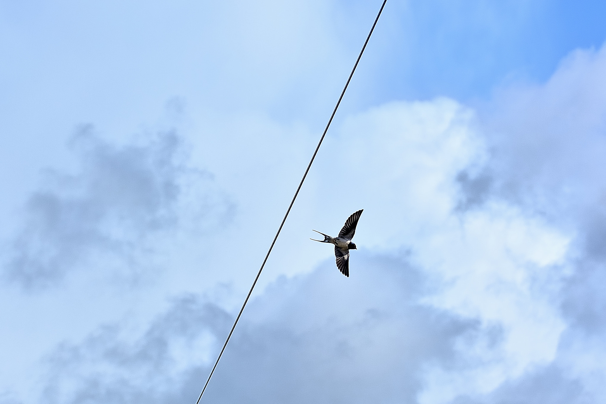 Sigma 105mm F2.8 EX DG OS HSM sample photo. Ds photography