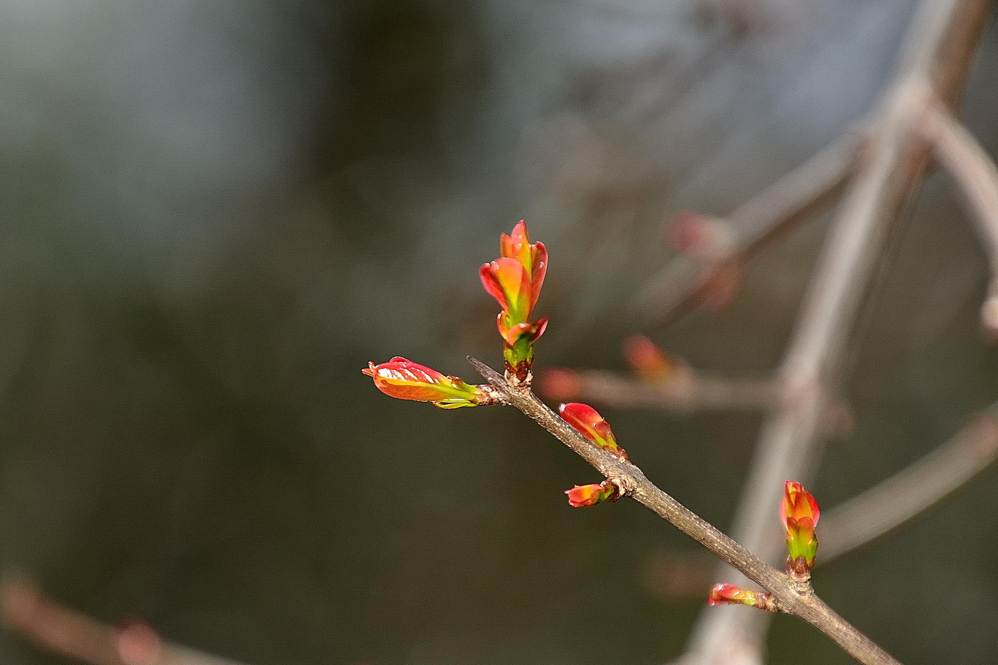 Nikon D7100 sample photo. Ds photography