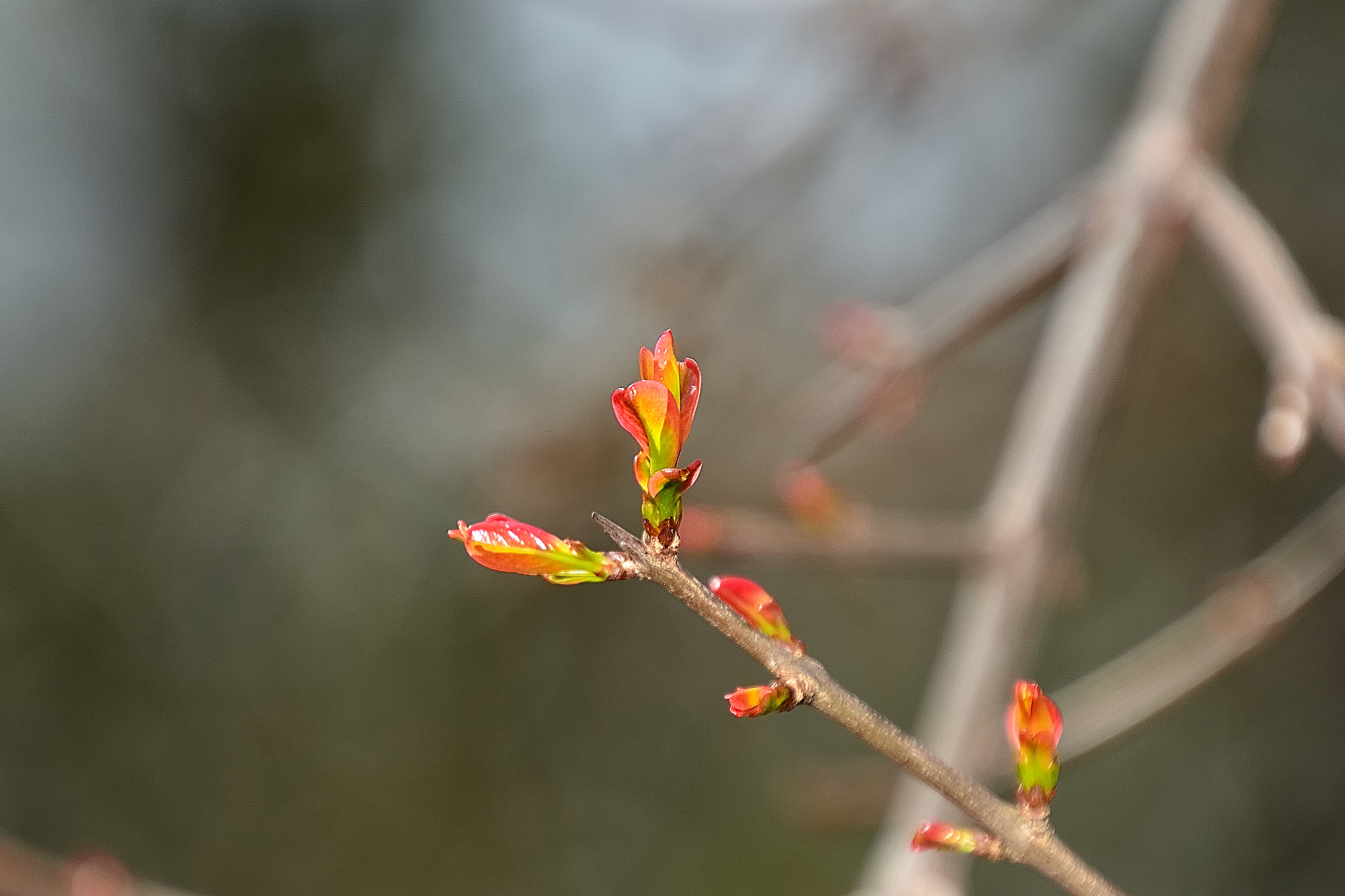 Nikon D7100 sample photo. Ds photography