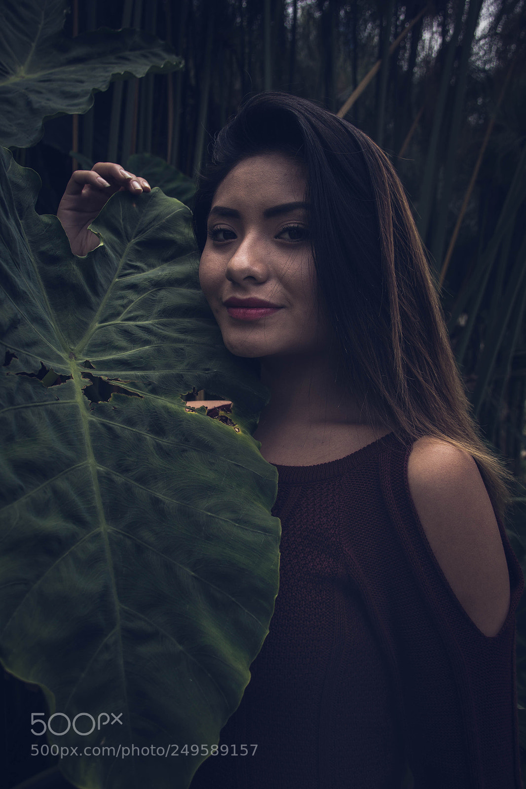 Canon EOS 60D sample photo. Untitled photography