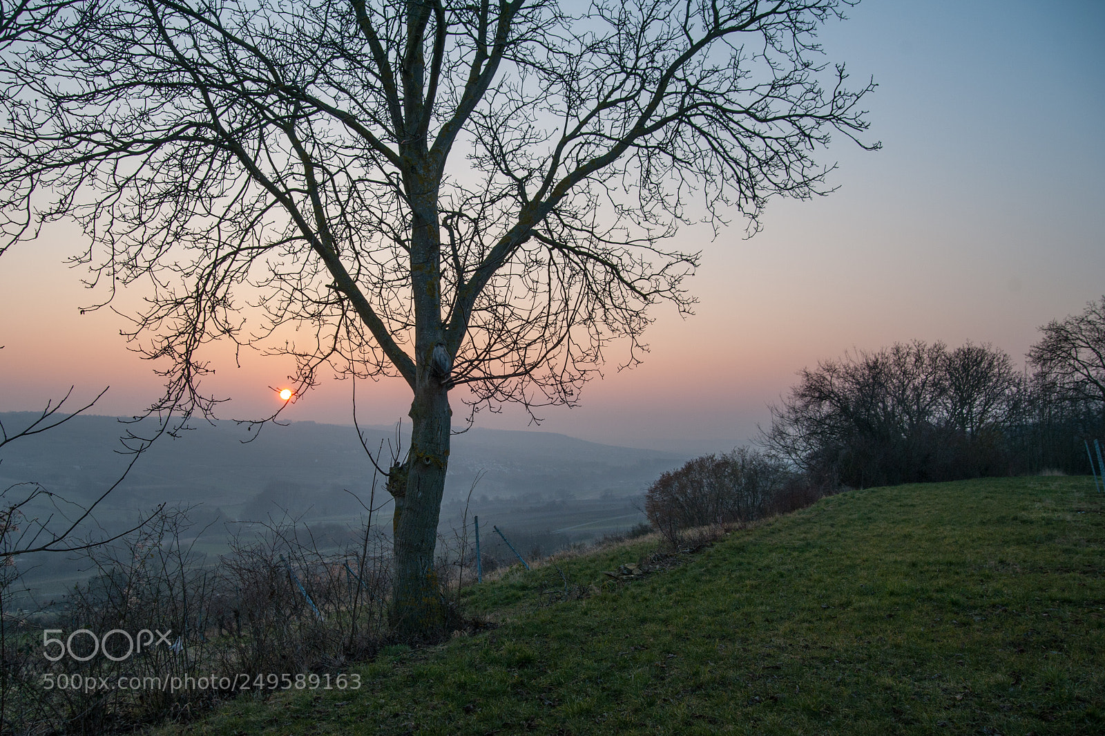 Nikon D700 sample photo. Selztal photography