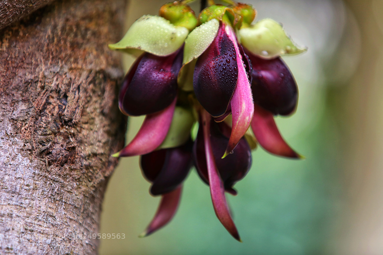 Canon EOS 5D Mark IV sample photo. Untitled photography