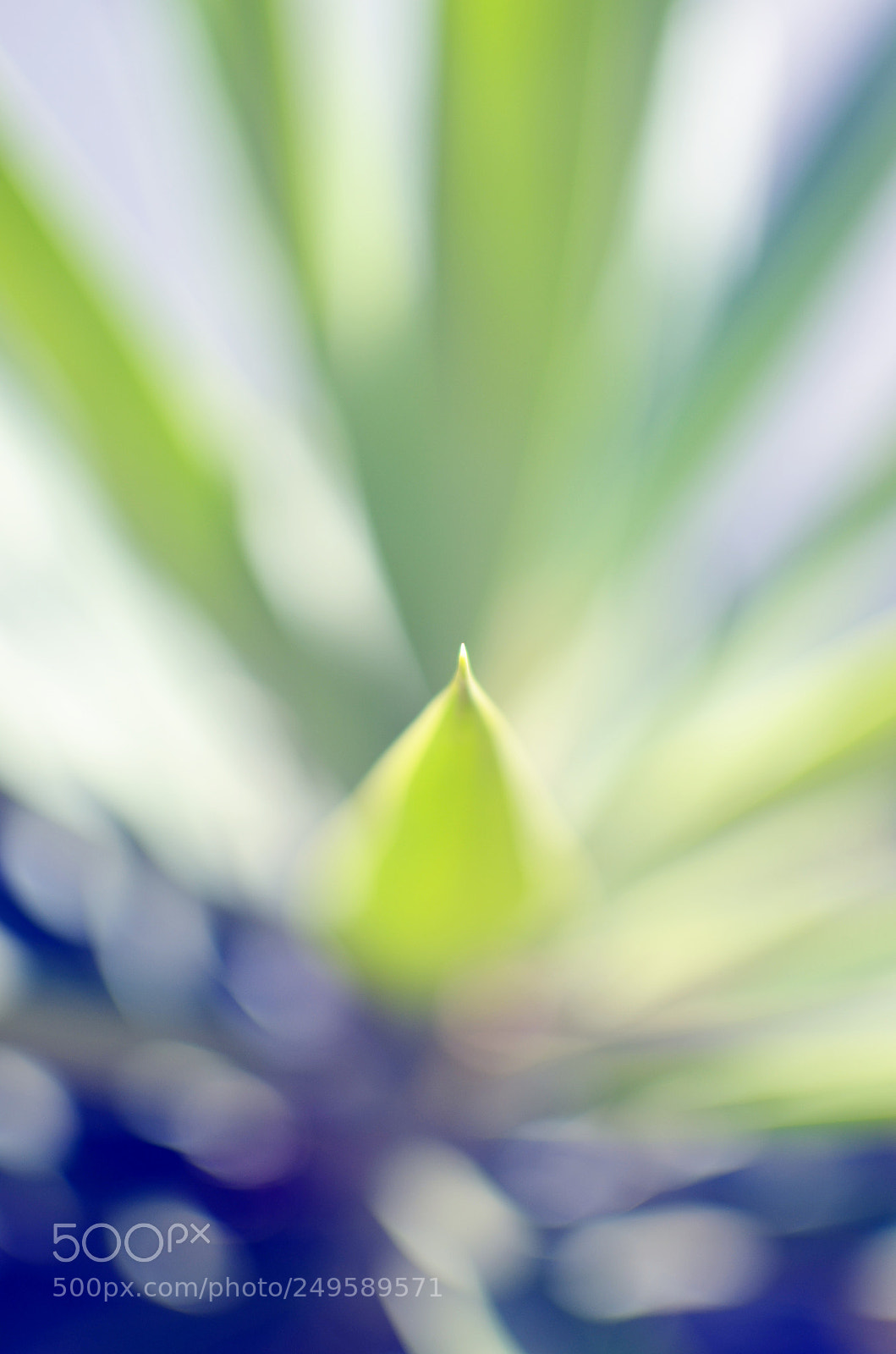 Nikon D7000 sample photo. Untitled photography